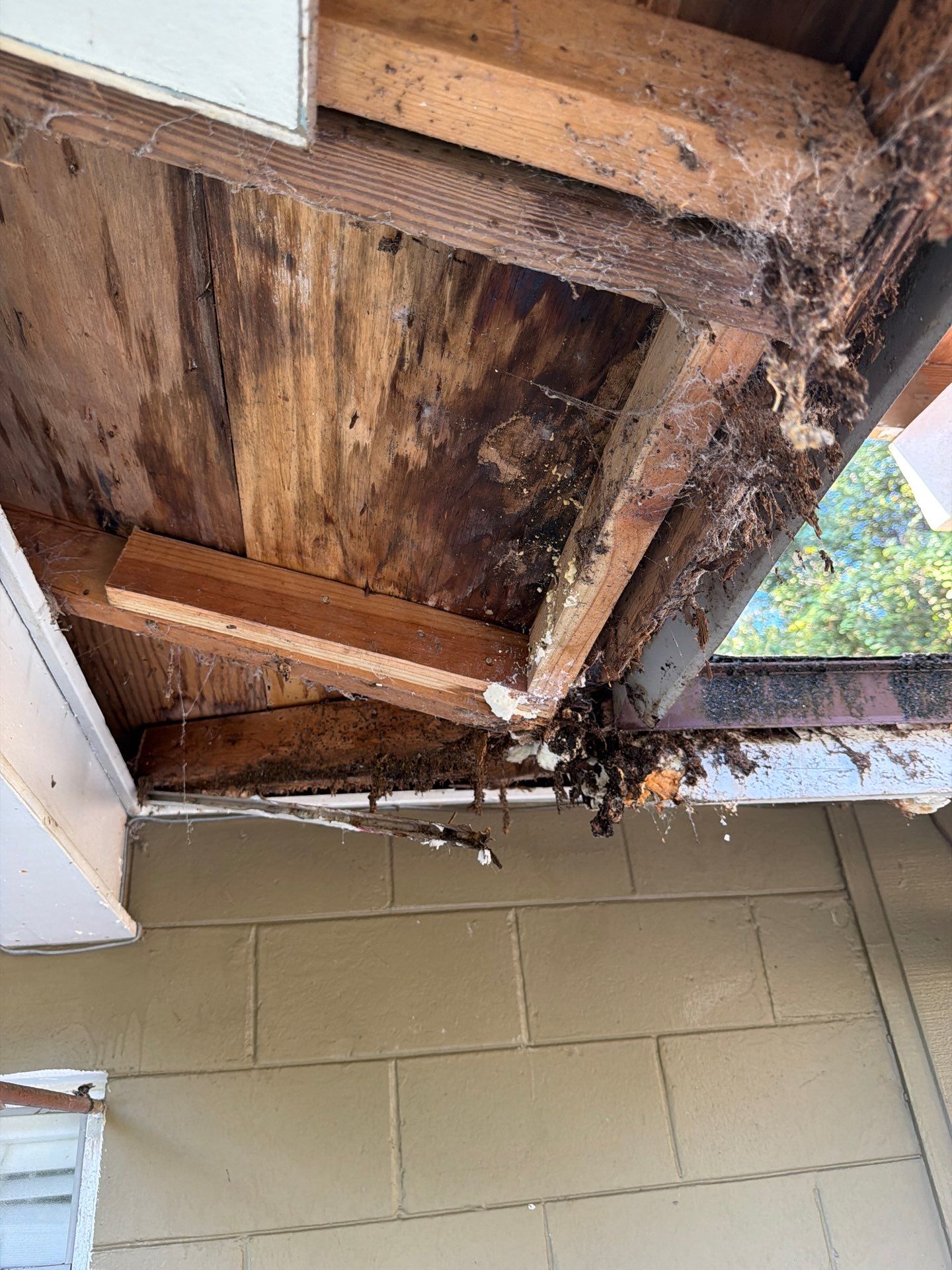 Sorrento Residential Fascia Repair and Soffit Wood Rot Restoration by Fortified Roofing Solutions Corp.