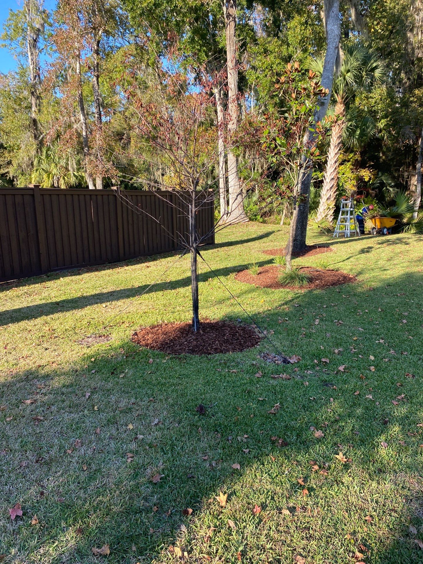 Deerwood Resident | Extreme Clean Up by ProGreen Services