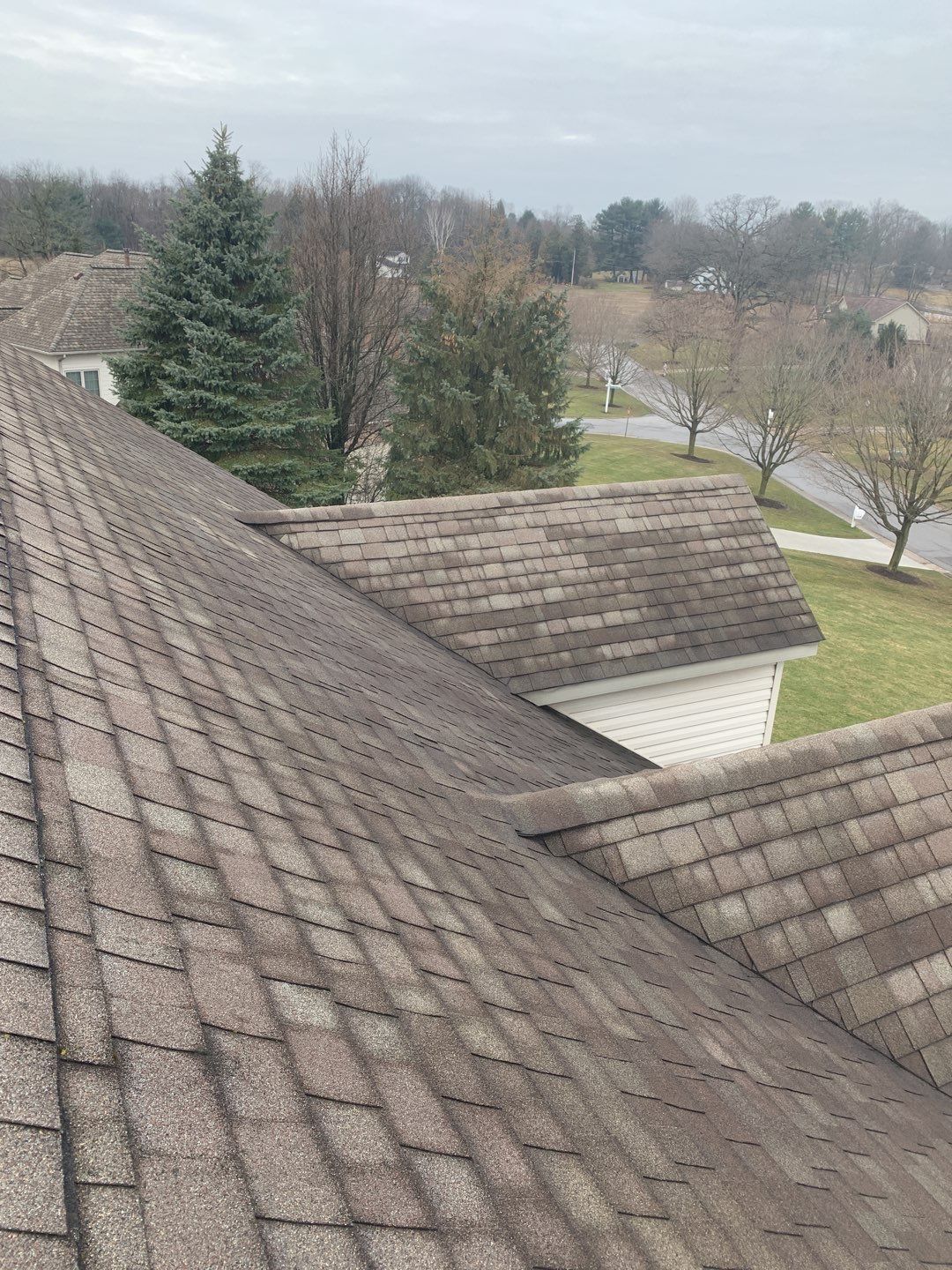 John Walczyk by Silver Leaf Contracting 
