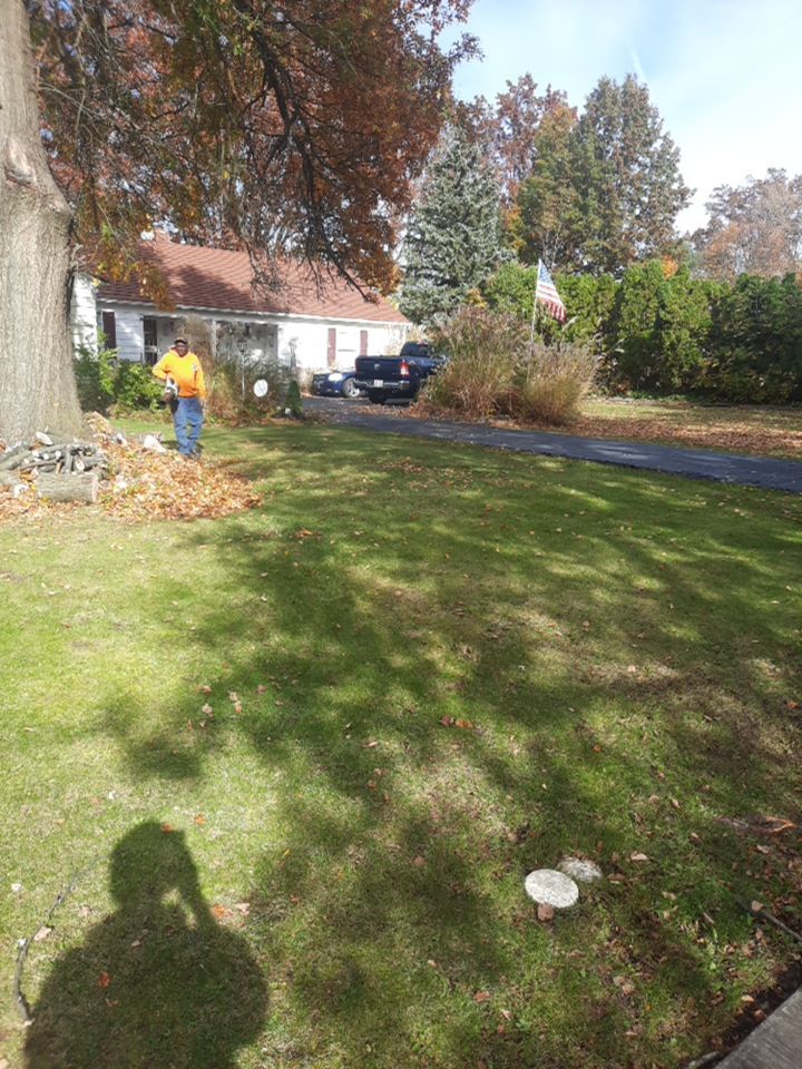 Tree Removal using Tree Removal by Mike Jones & Sons Tree Service LLC 