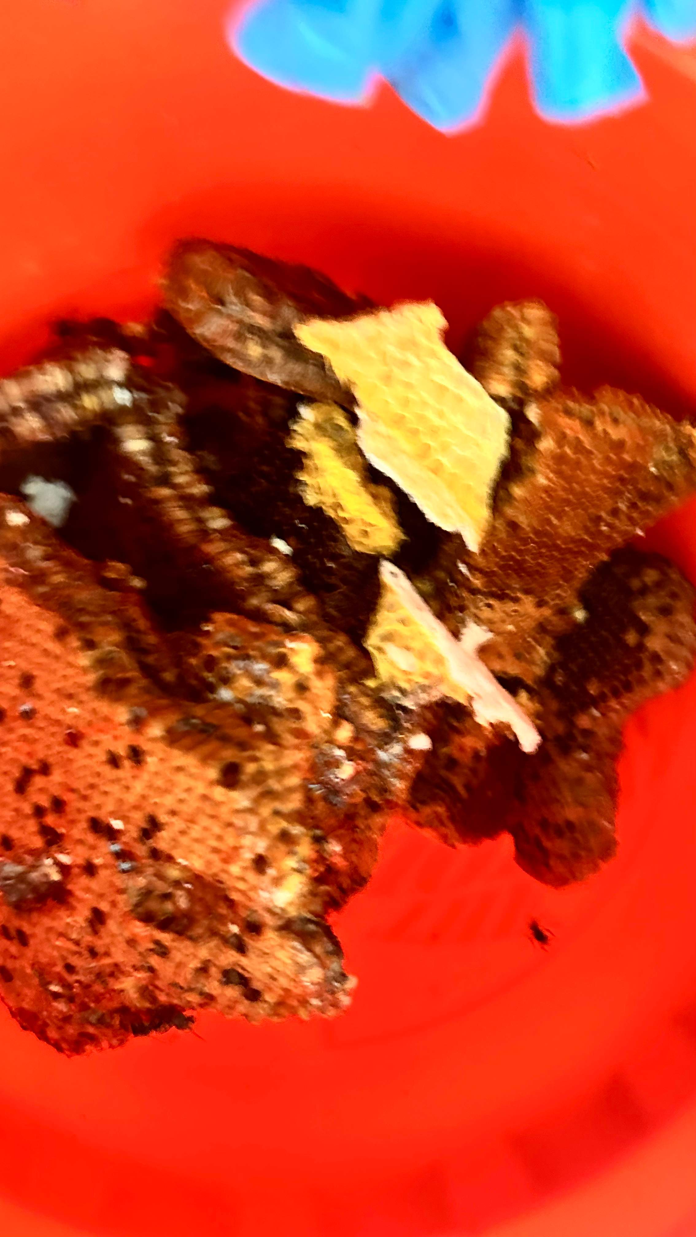 Art Gallery by Rockwall Honey Bee Company