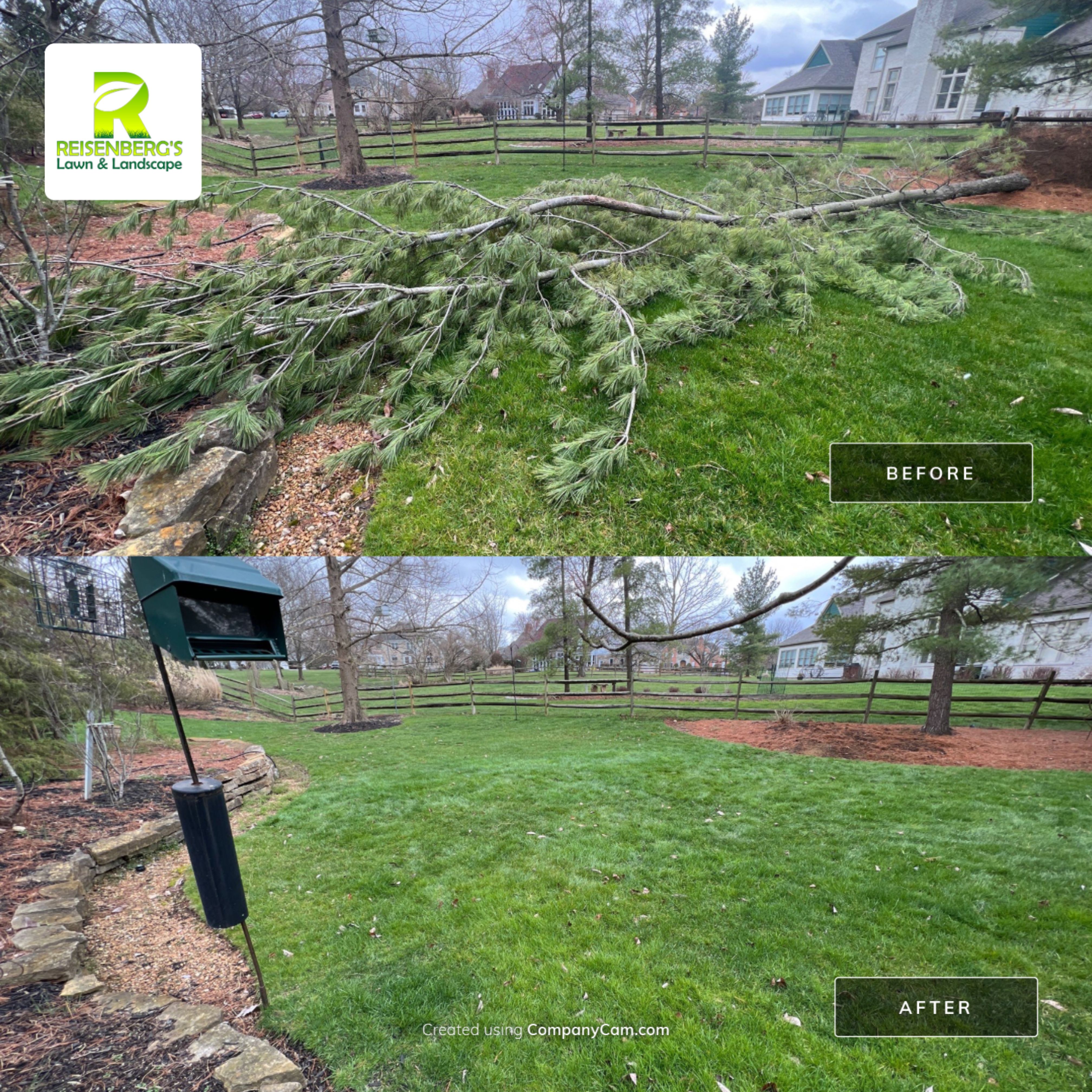 Storm Damage Tree Removal by Reisenberg’s Lawn & Landscape, LLC