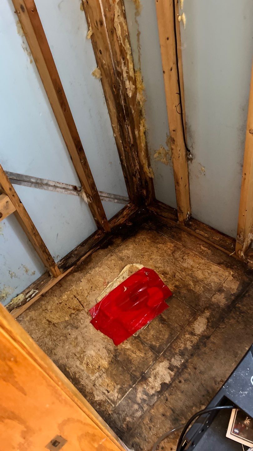 Water Damage and Mold Remediation by Accountable Home Services