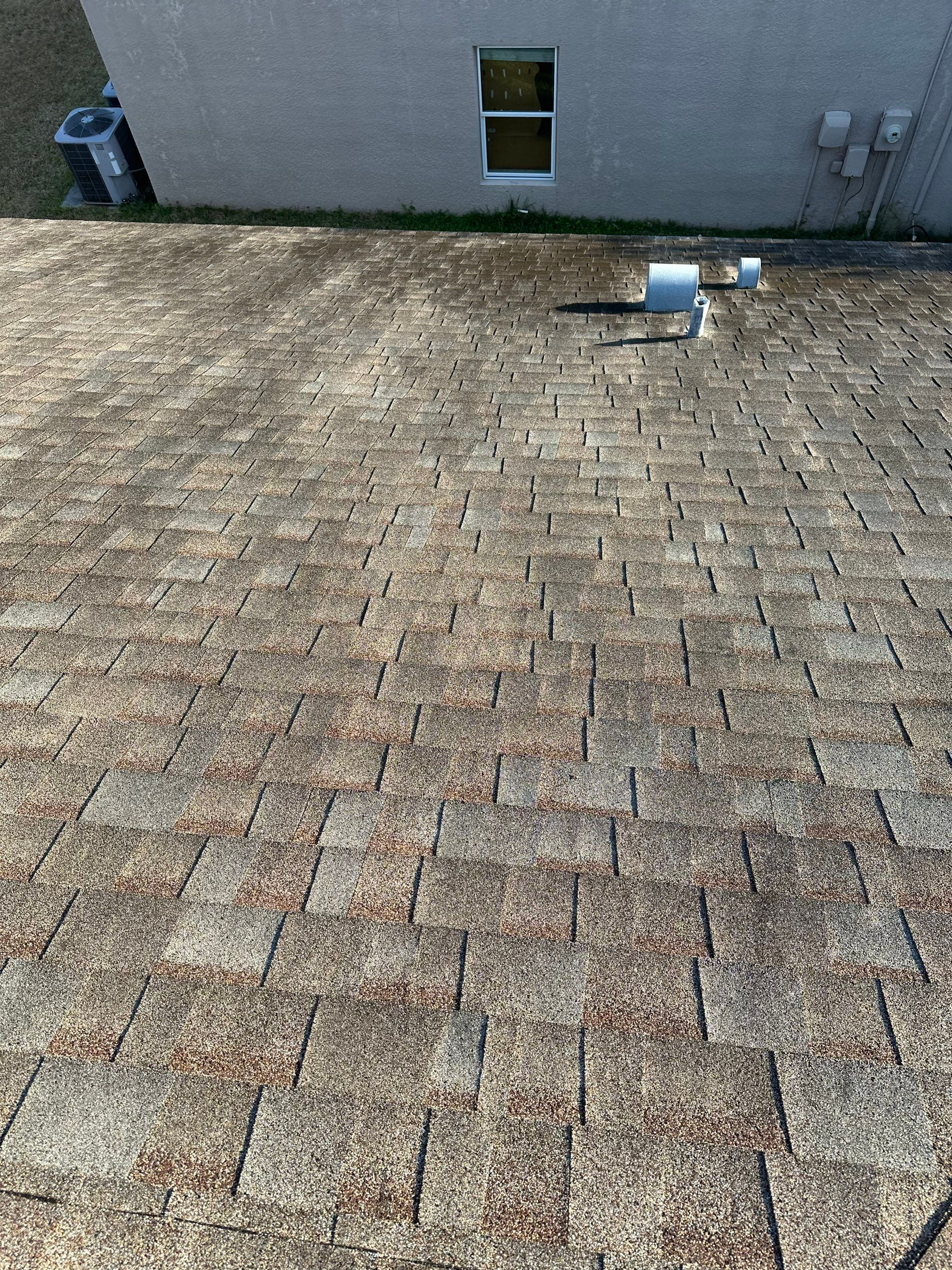 Asphalt Shingle Roof Soft Wash Cleaning & Concrete Pressure Washing in CopperStone Community, Parrish, FL by Sunshine AquaWash