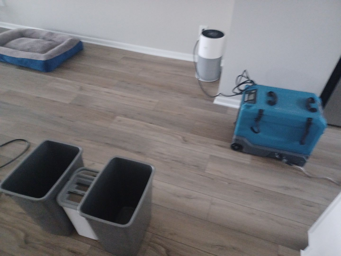 Project in Novi by EzDry Water Mitigation & Property Restoration