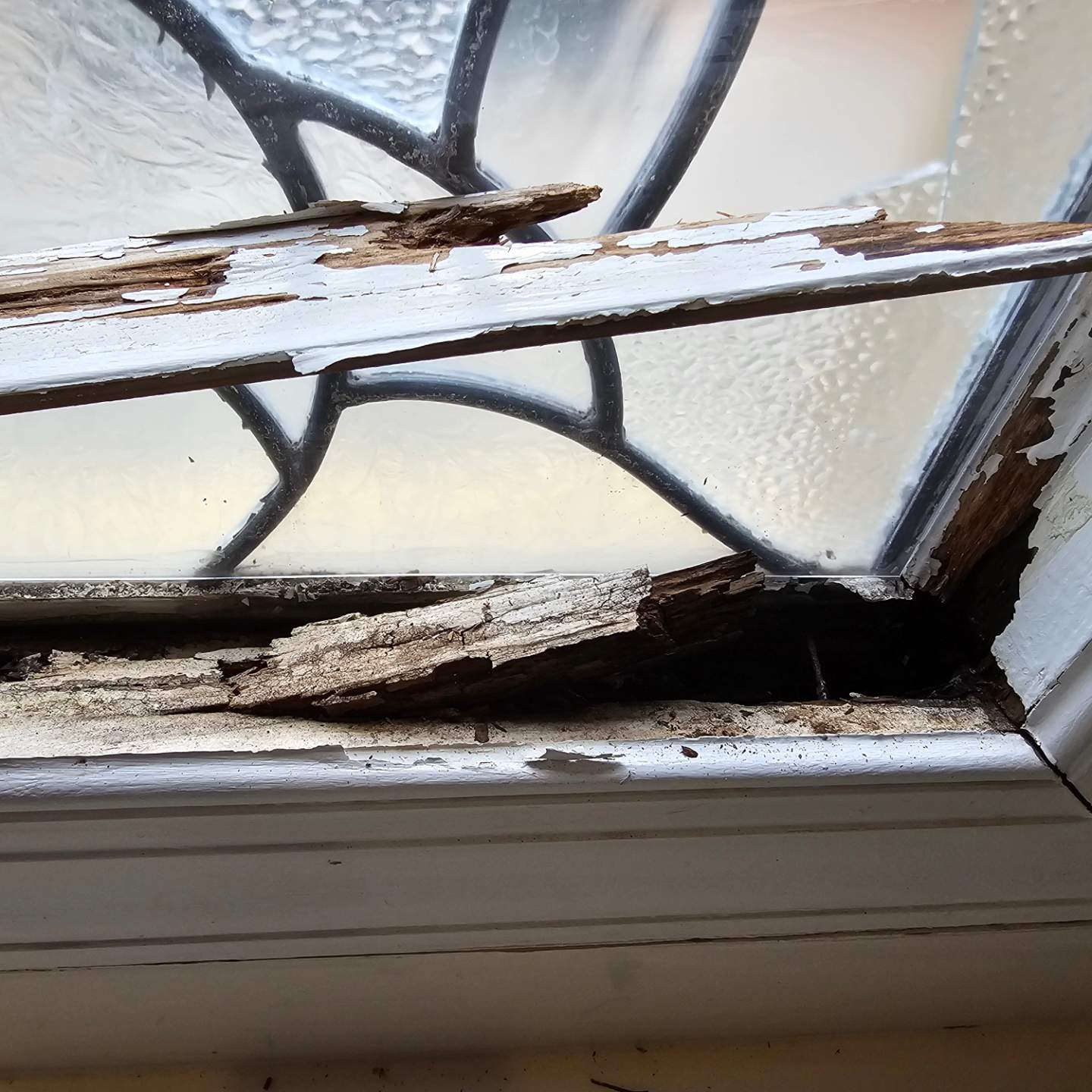 Iwanski Project in Hoover by The Window Source