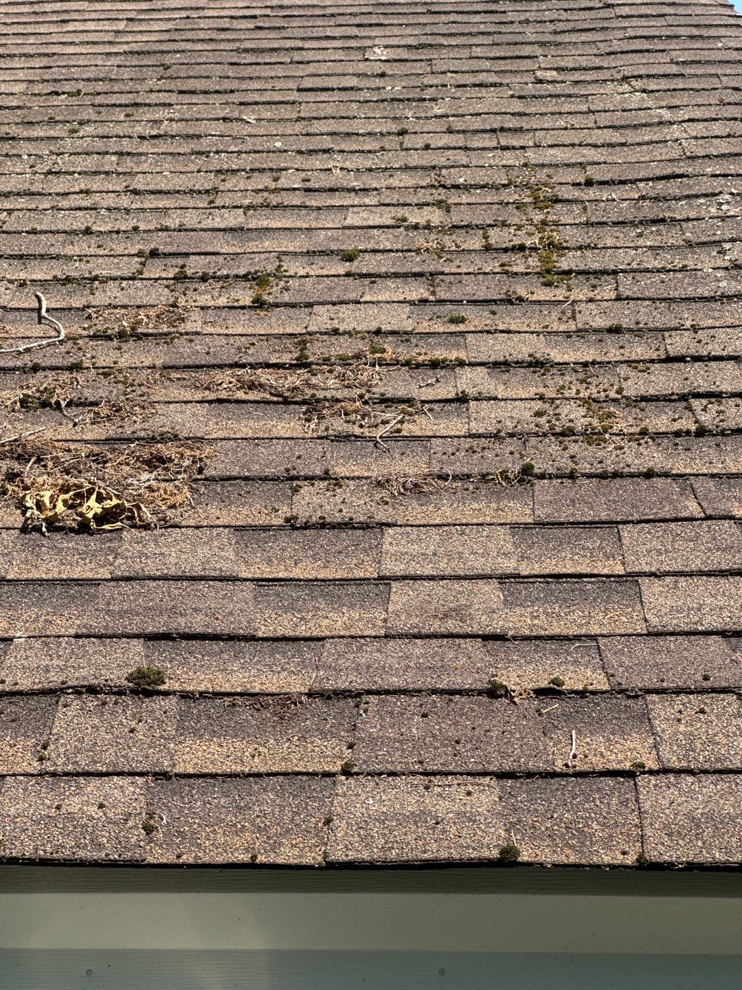 Multi Service using Roof Wash by SJ Exterior