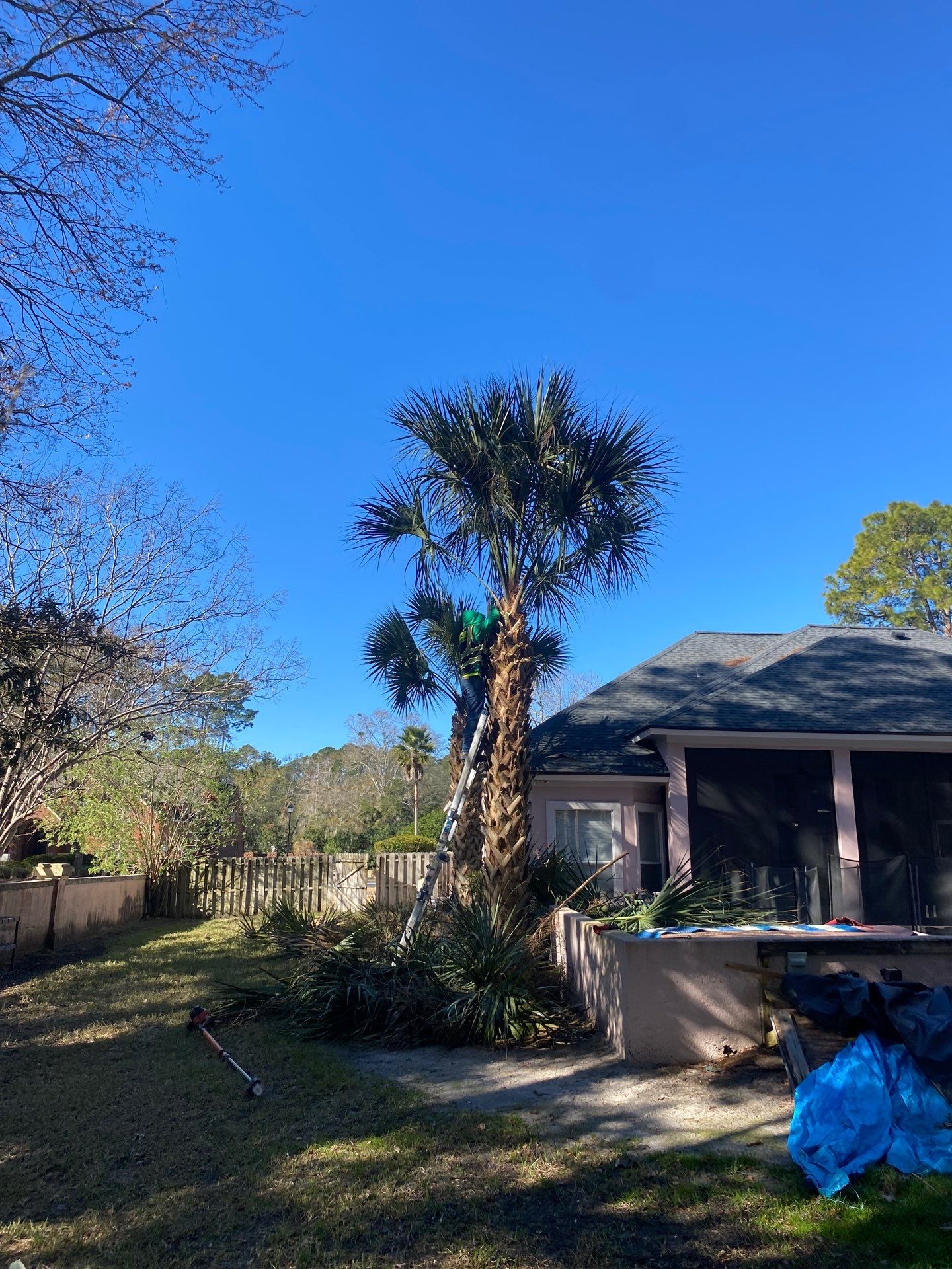 Deerwood Resident | Tree Removal & Clean-Up by ProGreen Services