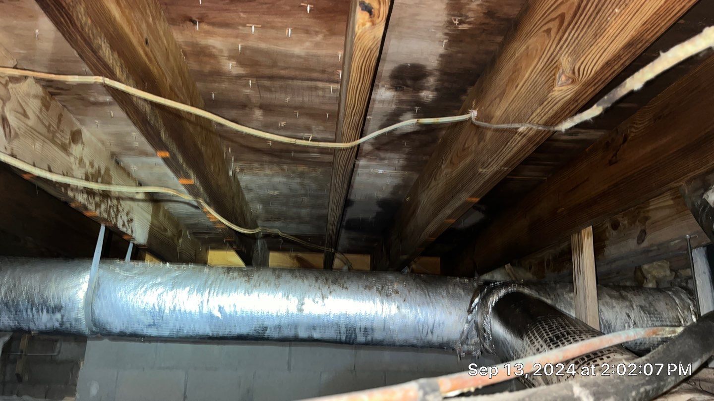 Limited Mold Remediation by EAS Environmental, LLC.