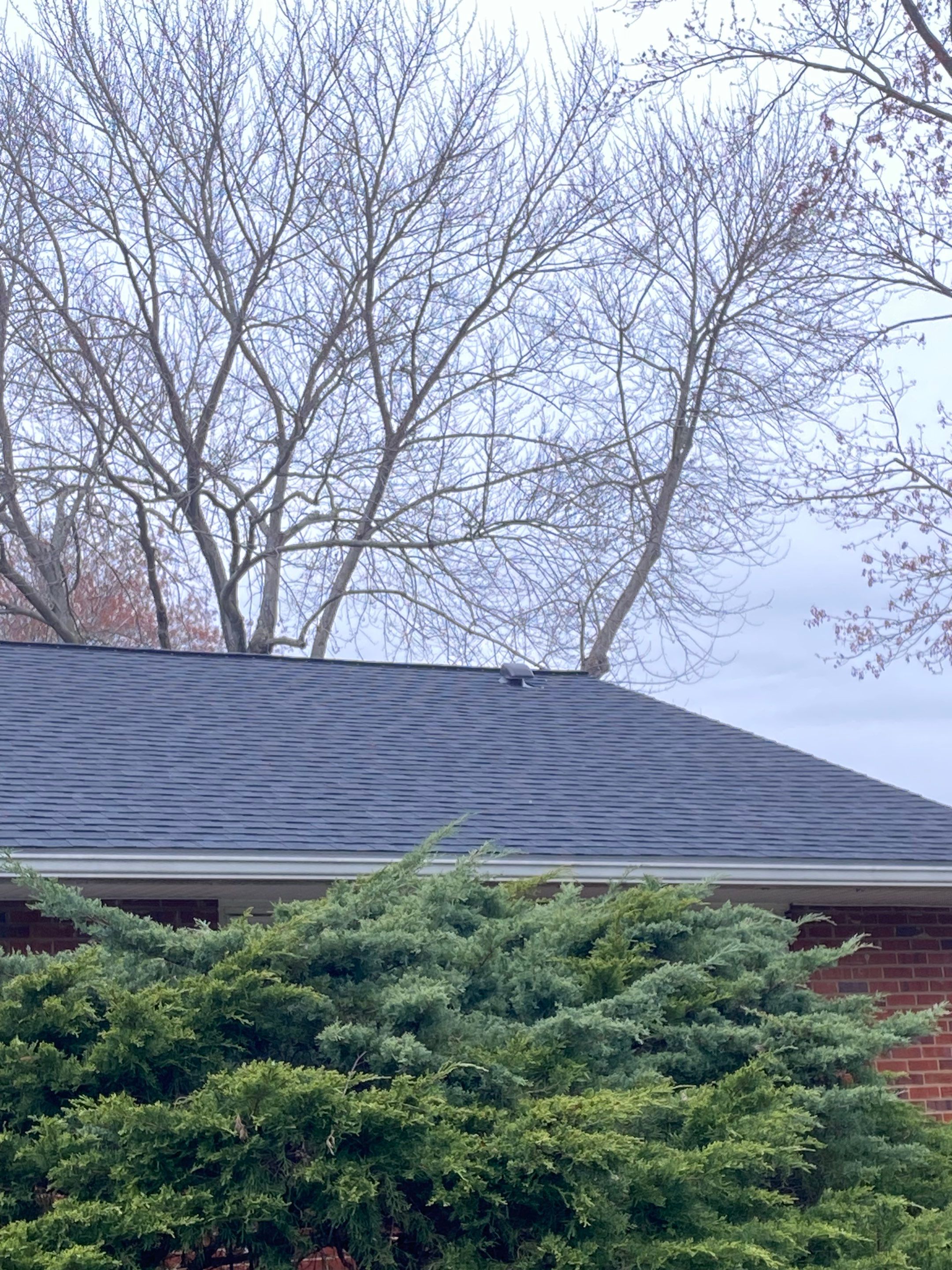 Alexandria CertainTeed Landmark Pro Roof in Max Def Charcoal Black by RM Banning, Inc.