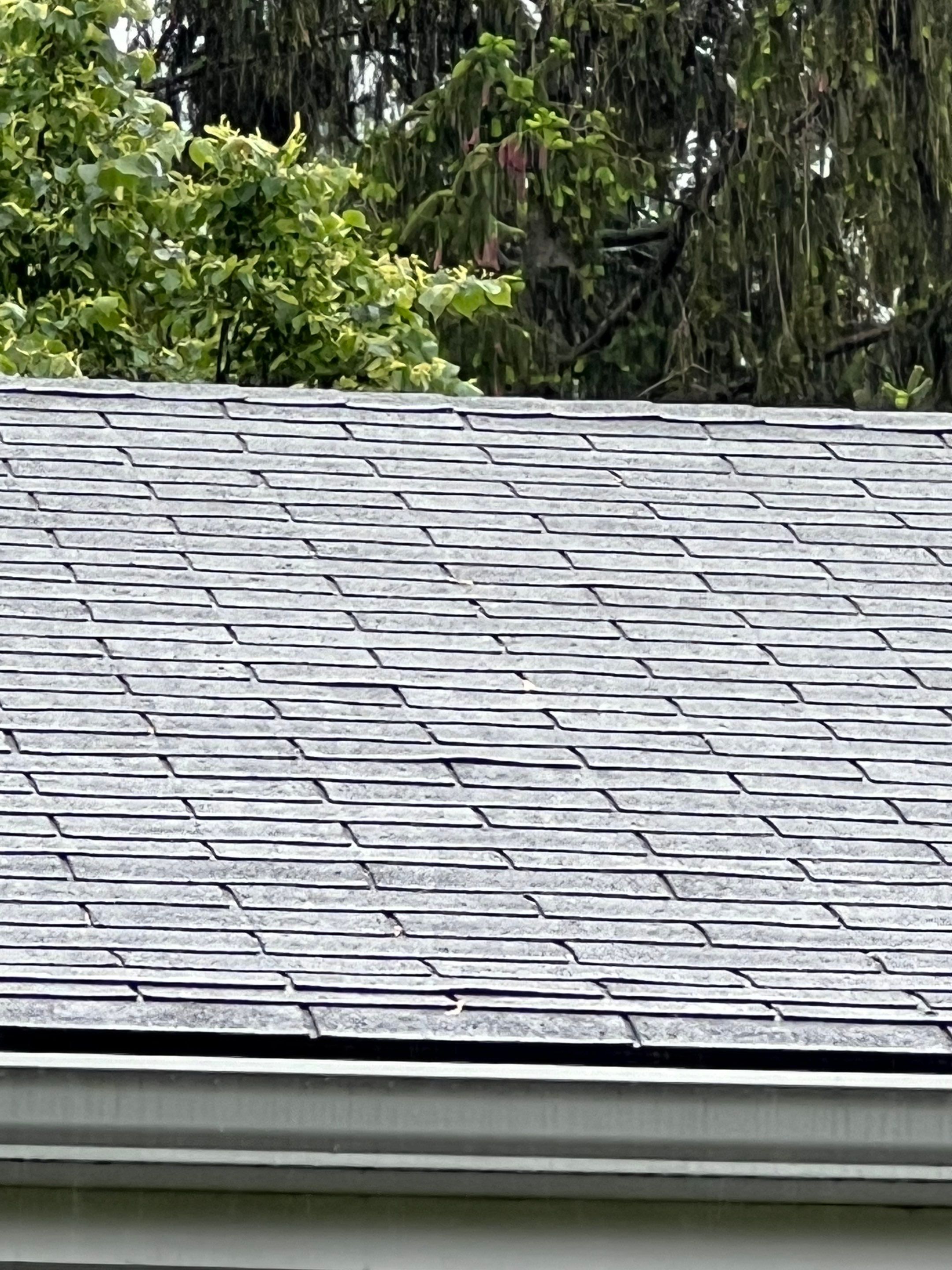 Complete Roof Replacement with Ventilation Upgrade by Mighty Dog Roofing of Greater Middlesex County
