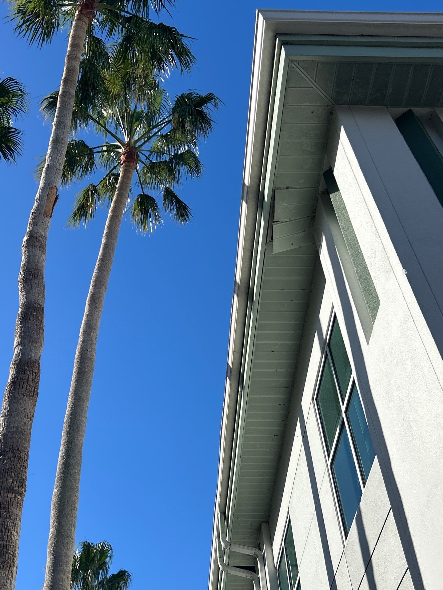 6-Inch White Seamless Gutters in Sarasota FL by Gutter Professors