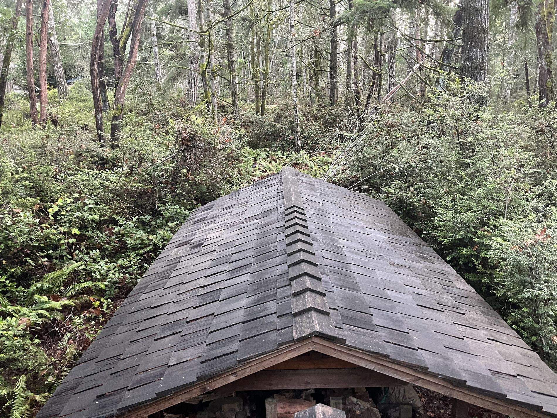 Residential Roof Cleaning in Seabeck, WA by Hanley Construction