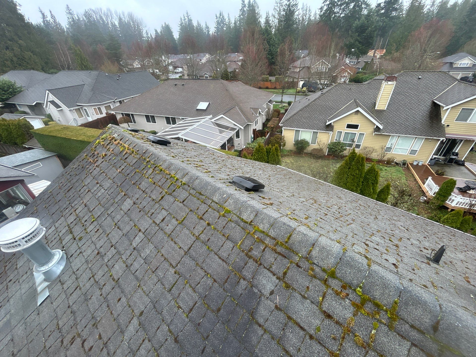 Project in Mill Creek by Peaks and Valleys Construction