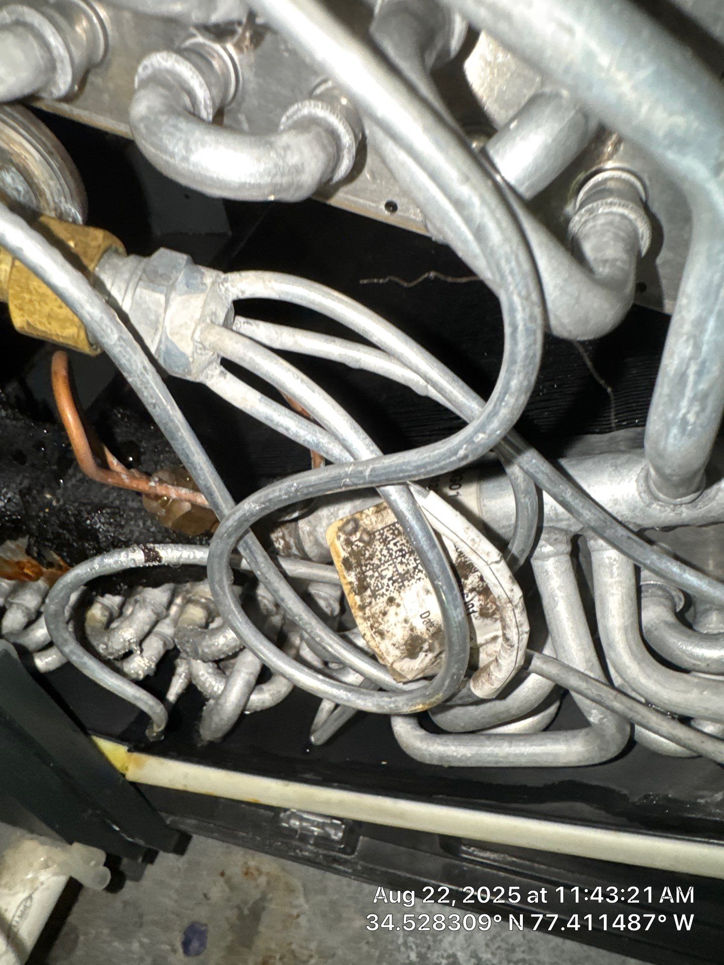 Severe Indoor Air Mold Issues by Home Disaster Medics