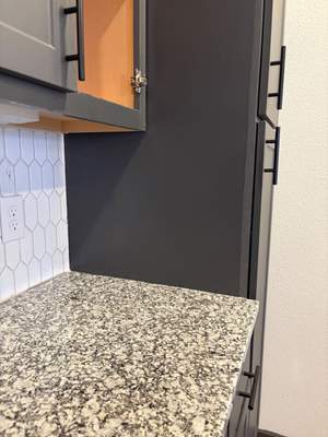 Cabinet Panels Repair
