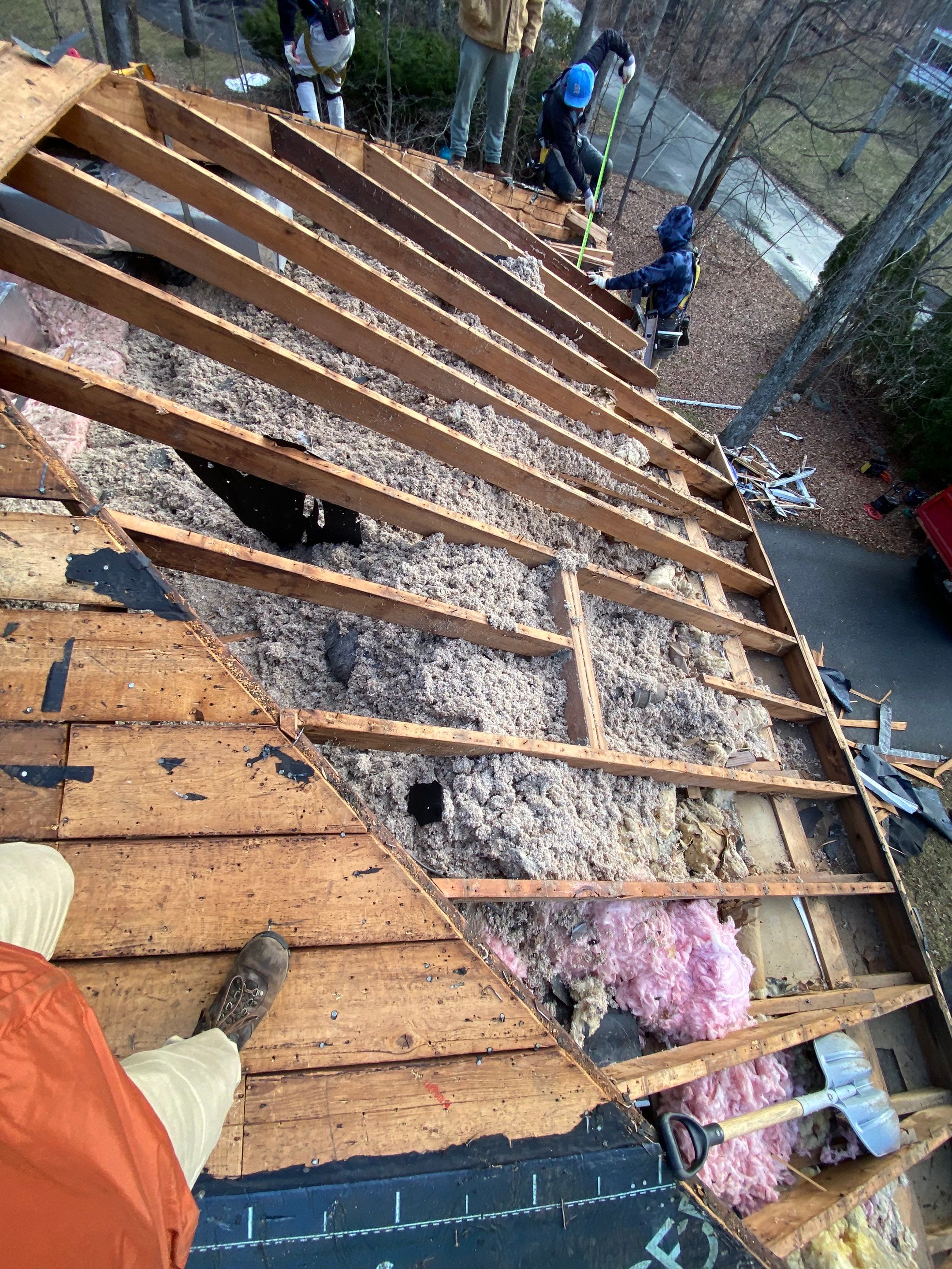 m by Mighty Dog Roofing of Greater Middlesex County