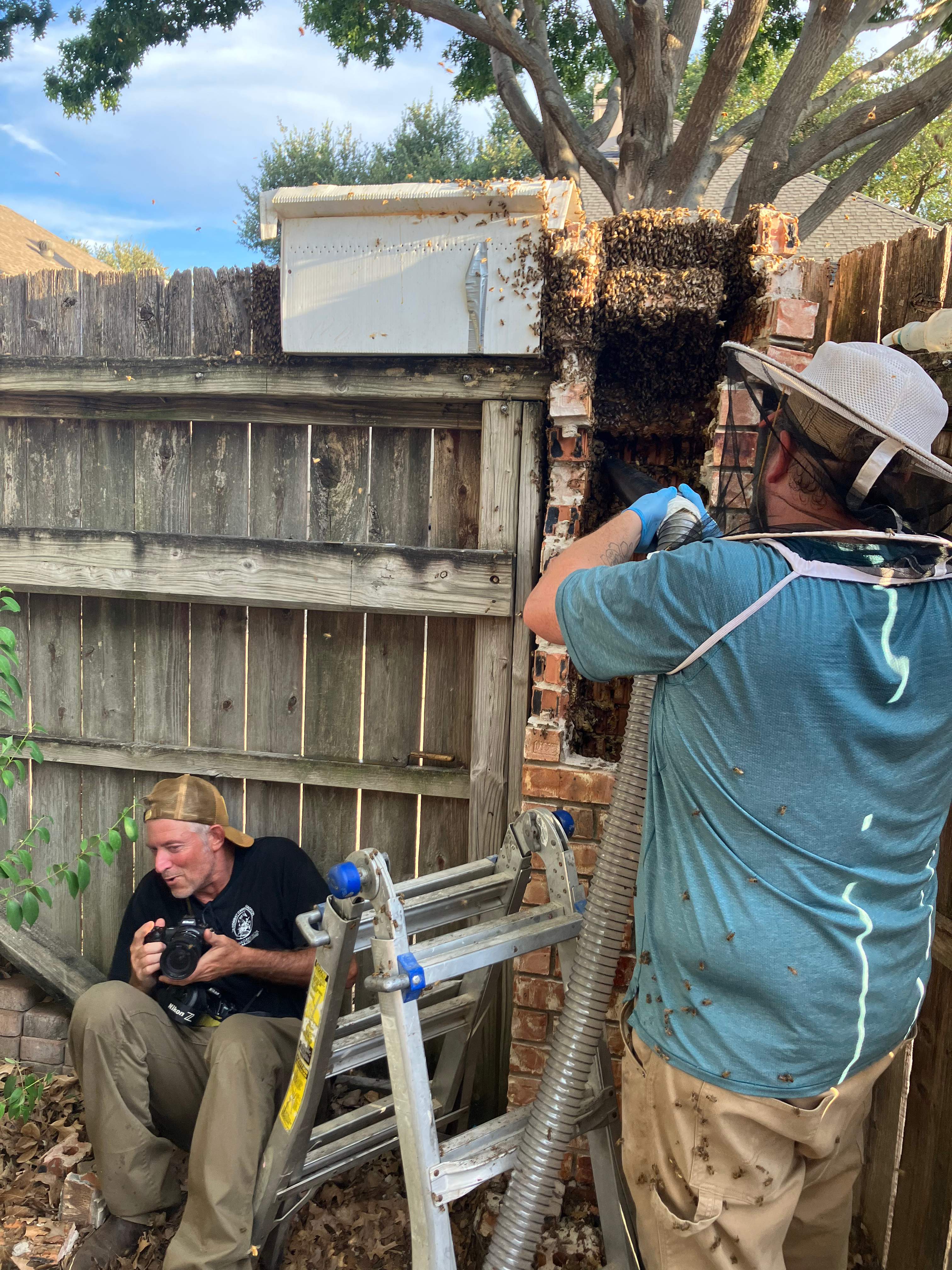 Brick Column by Rockwall Honey Bee Company