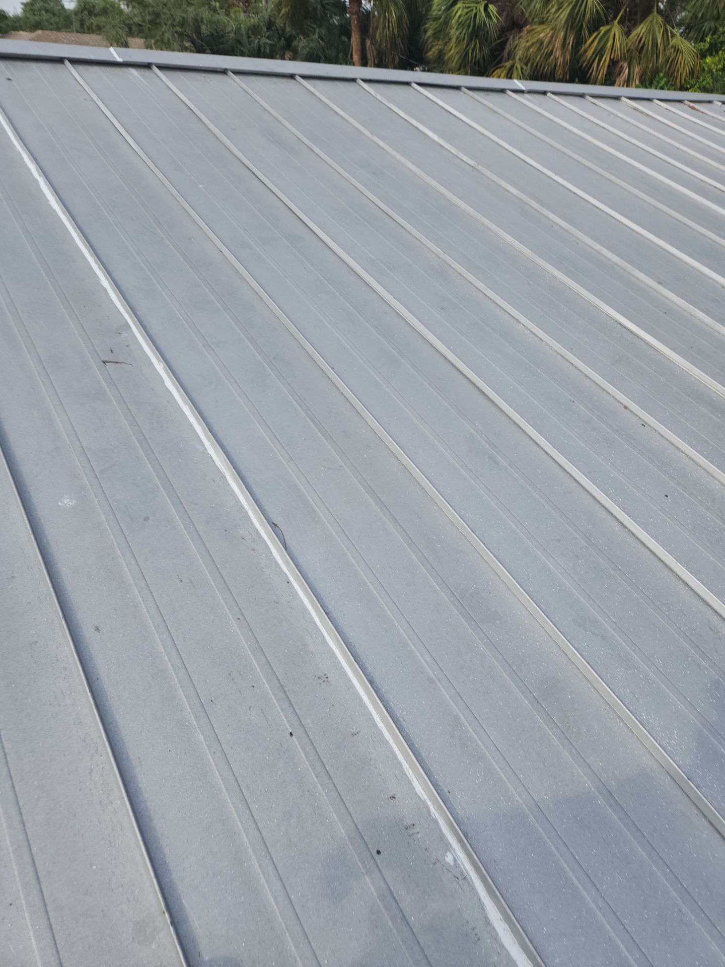 Flat Roof Replacement and Fascia Repair in Margate by Aastro Roofing