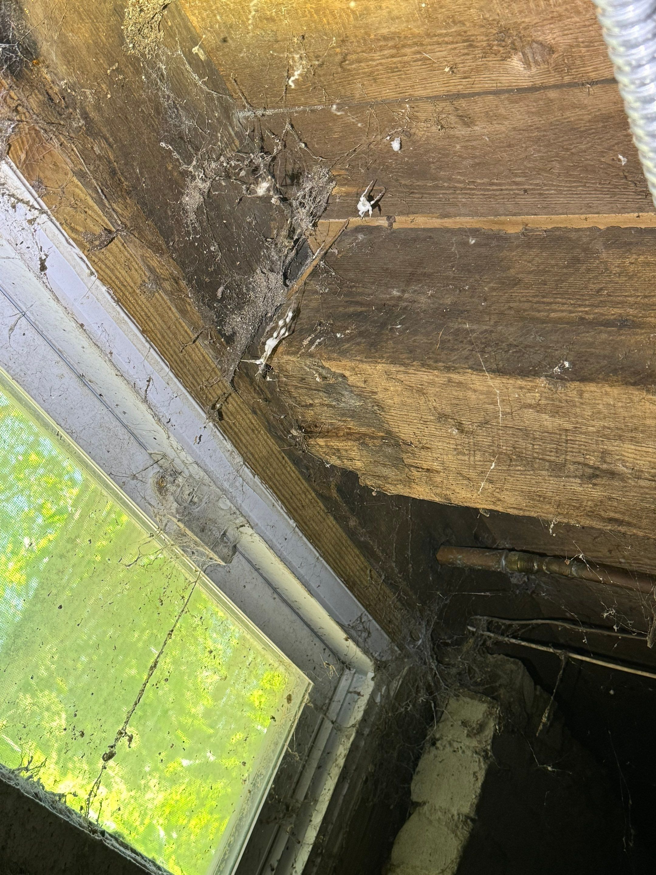 Full Home Remediation by Home Guarantee, LLC
