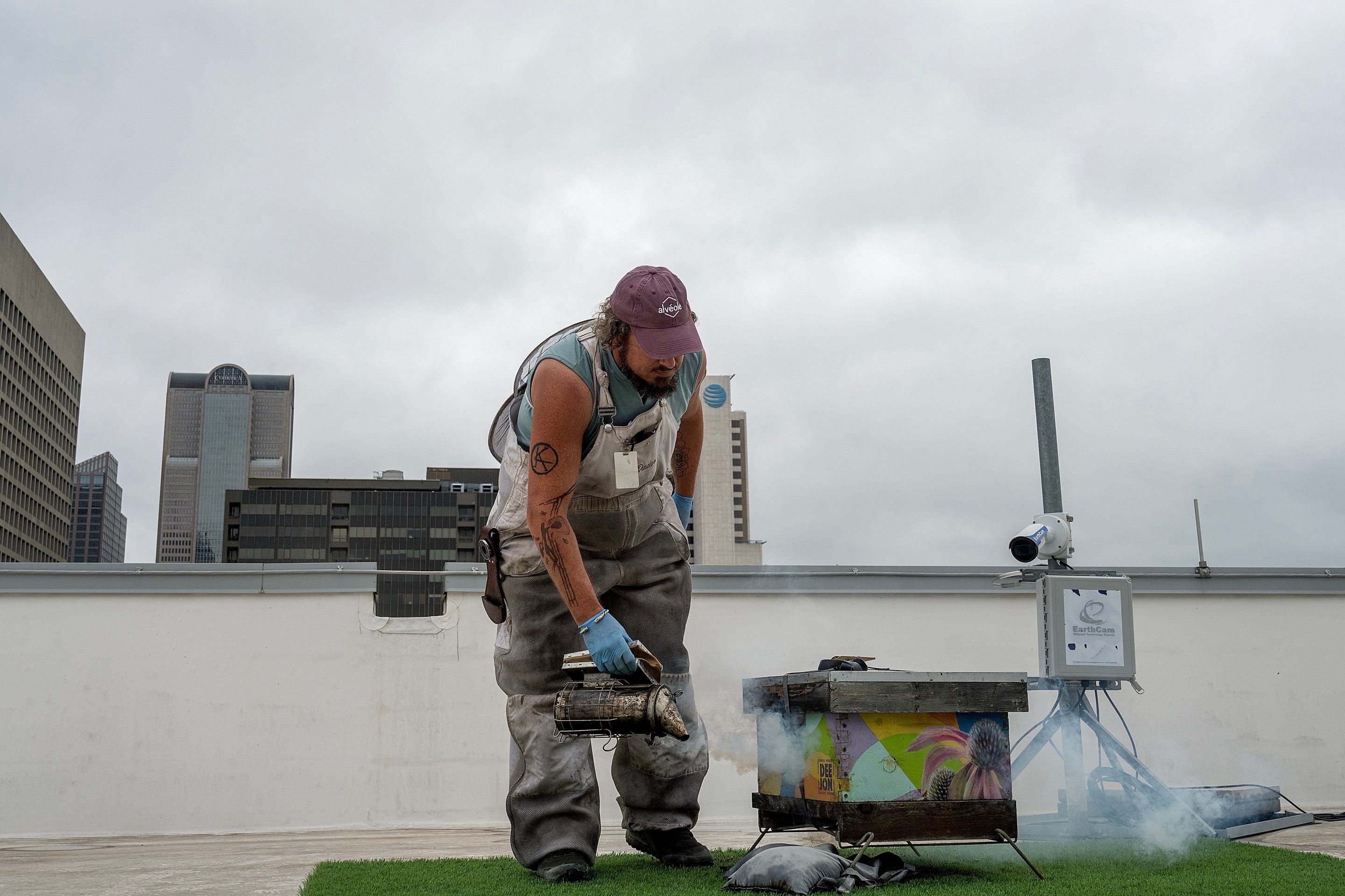 Urban Beekeeping in Dallas by Rockwall Honey Bee Company