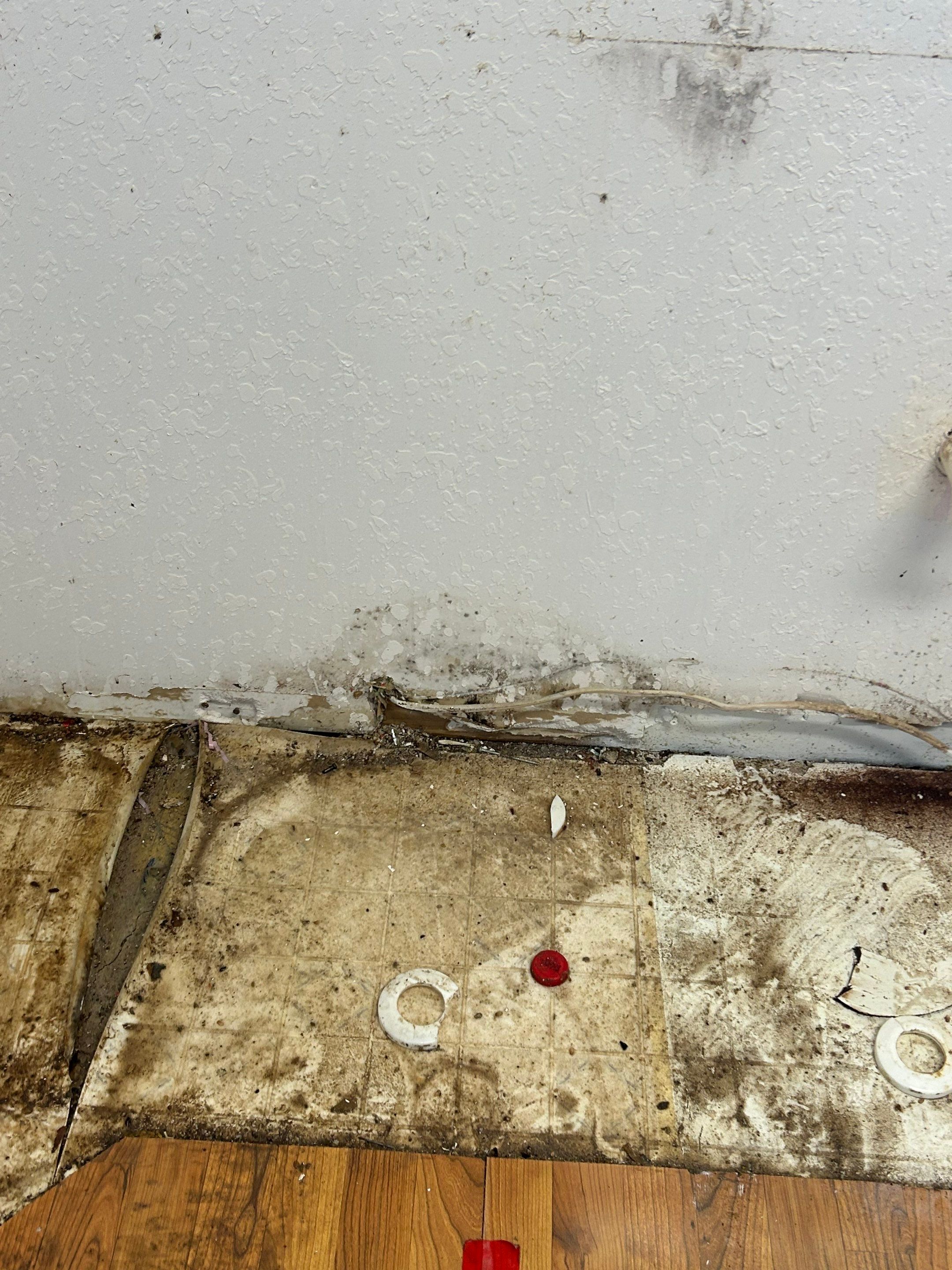 Project in Mascotte by You Restorations LLC DBA YOU-Home