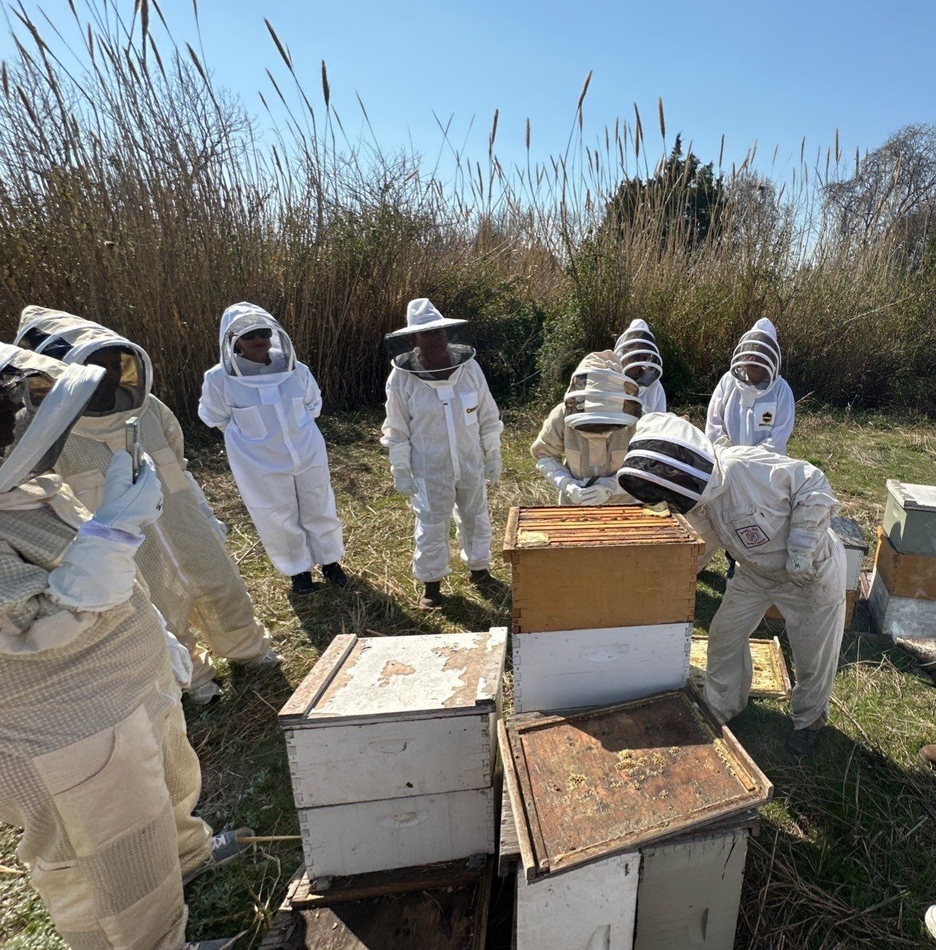 Teaching at an Apiary in Rowlett by Rockwall Honey Bee Company