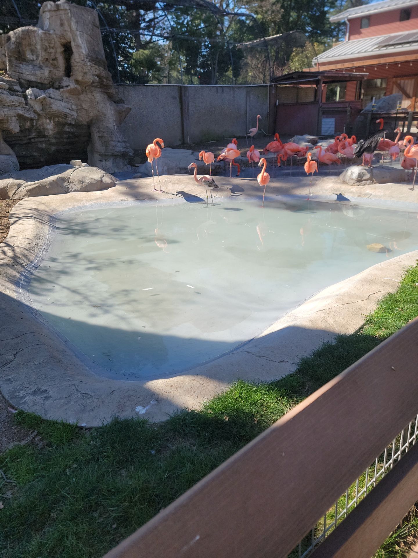 Charles Paddock Zoo Flamingo Pond by MGP Coatings
