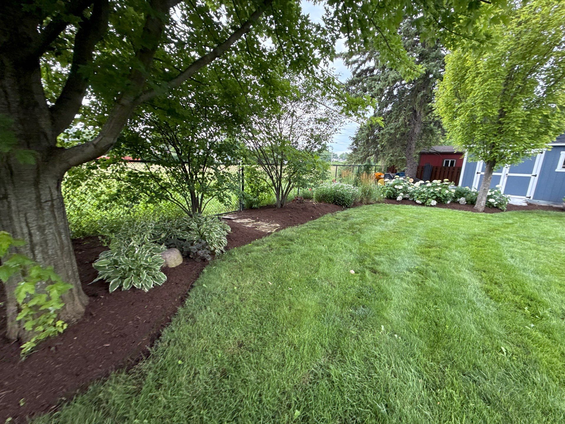 Rob M. - Arlington Heights, IL by A&N 