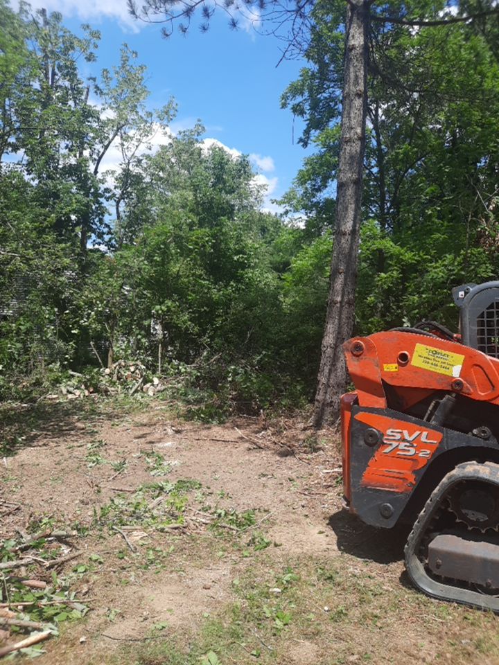 Tree Removal using Tree Removal by Mike Jones & Sons Tree Service LLC 