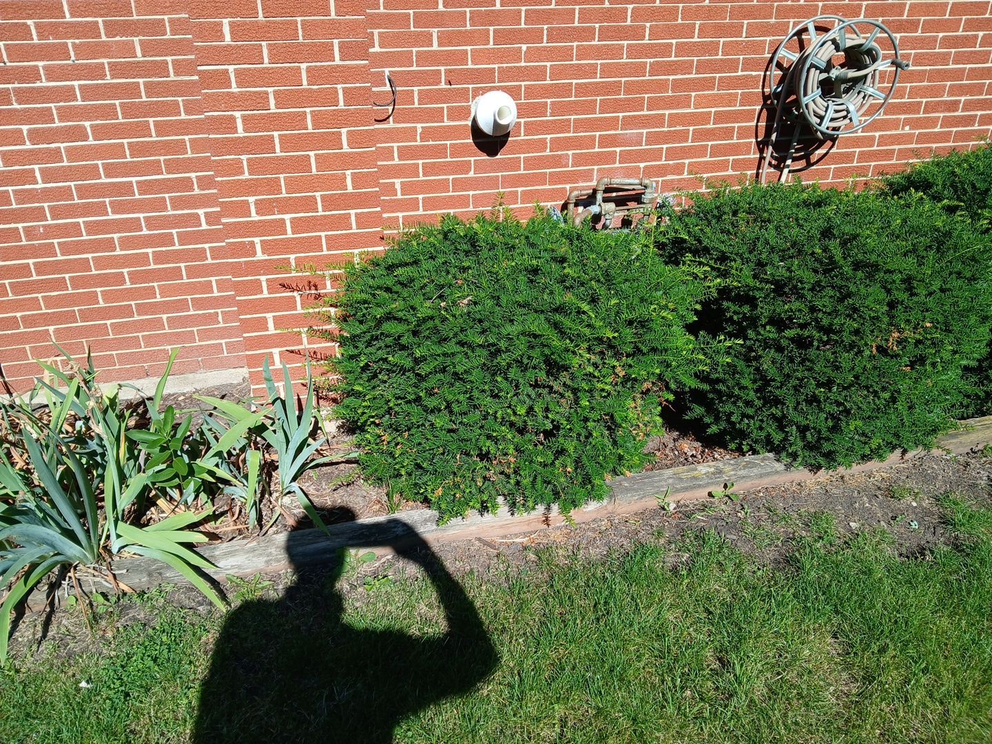 Martha C. - Mount Prospect, IL by A&N 