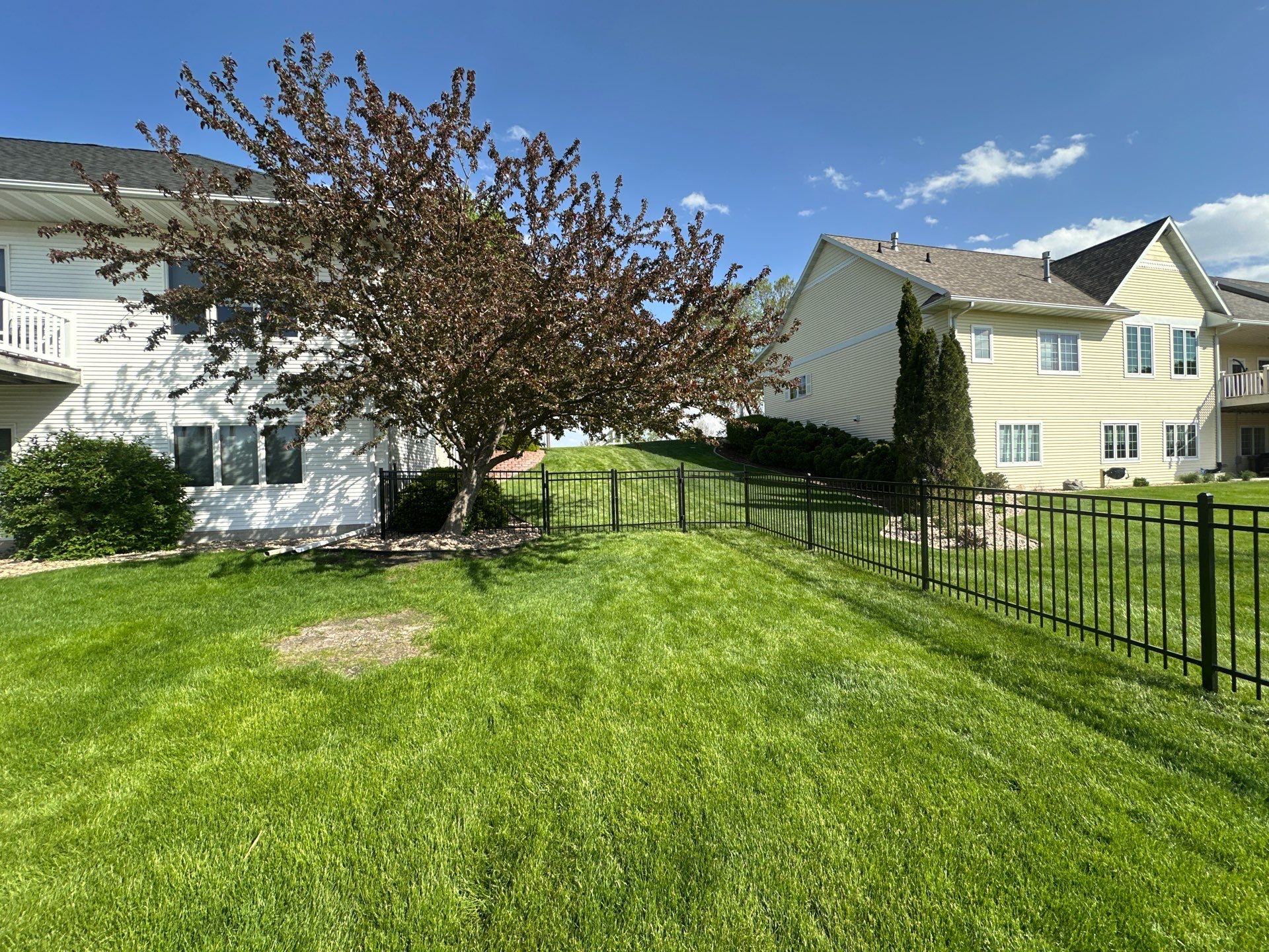 Black Ornamental Metal Picket Fence Installation in Waterloo by Perfect Picket Fence and Stain