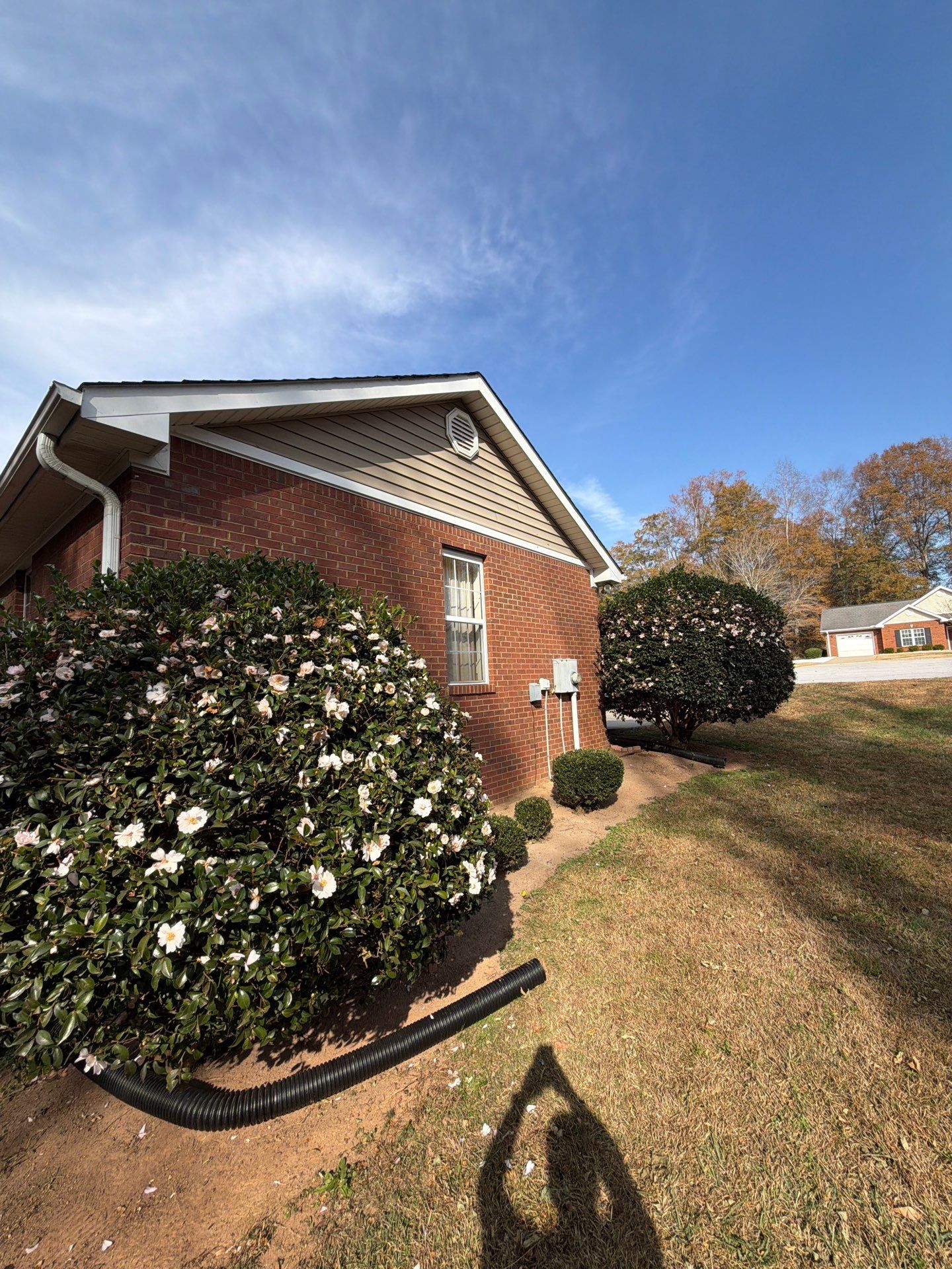 Susan Collins by United Contracting and Roofing