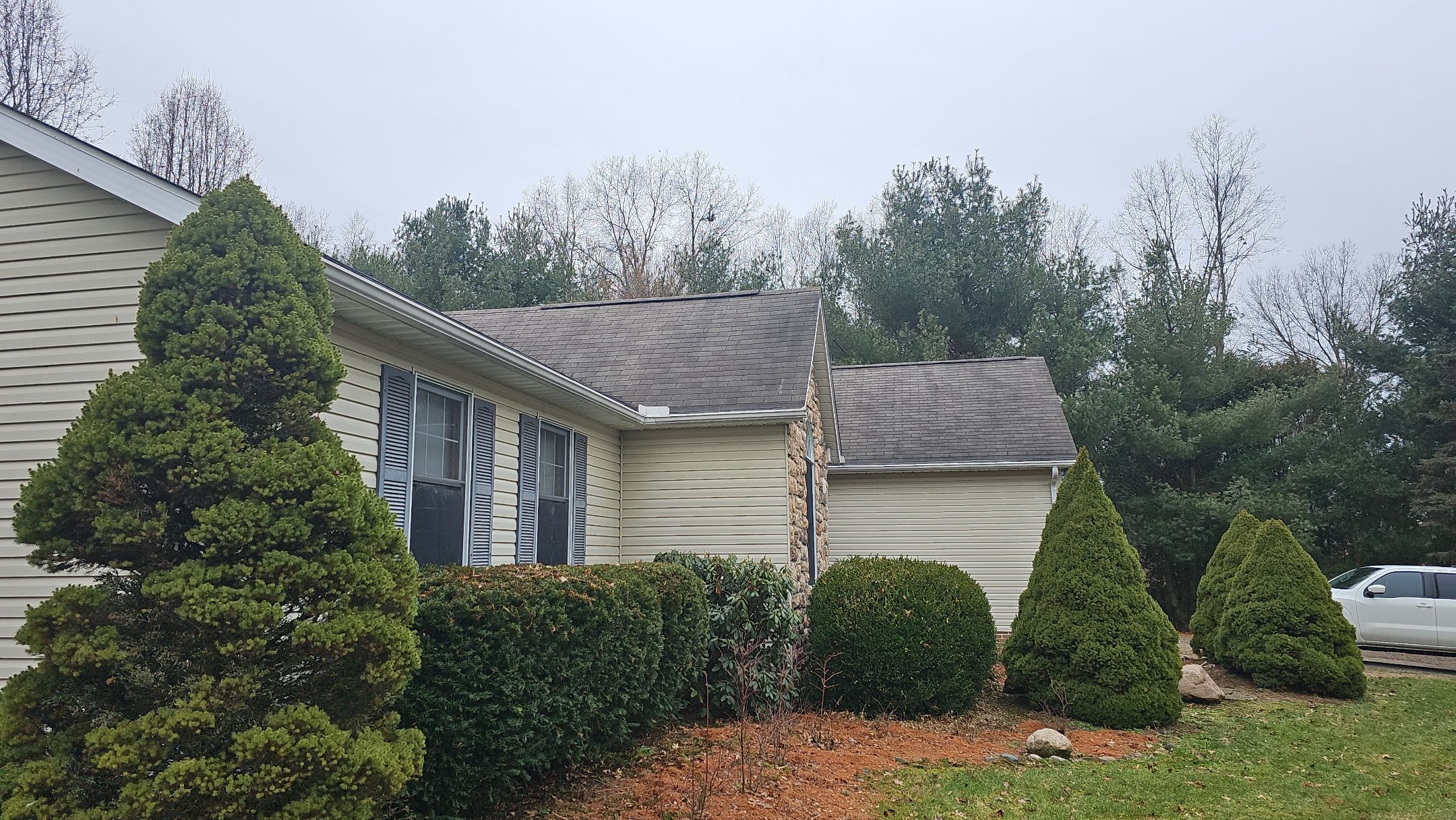 Alpha Rib, Color: Forest Green by Eagle Eye Roofing