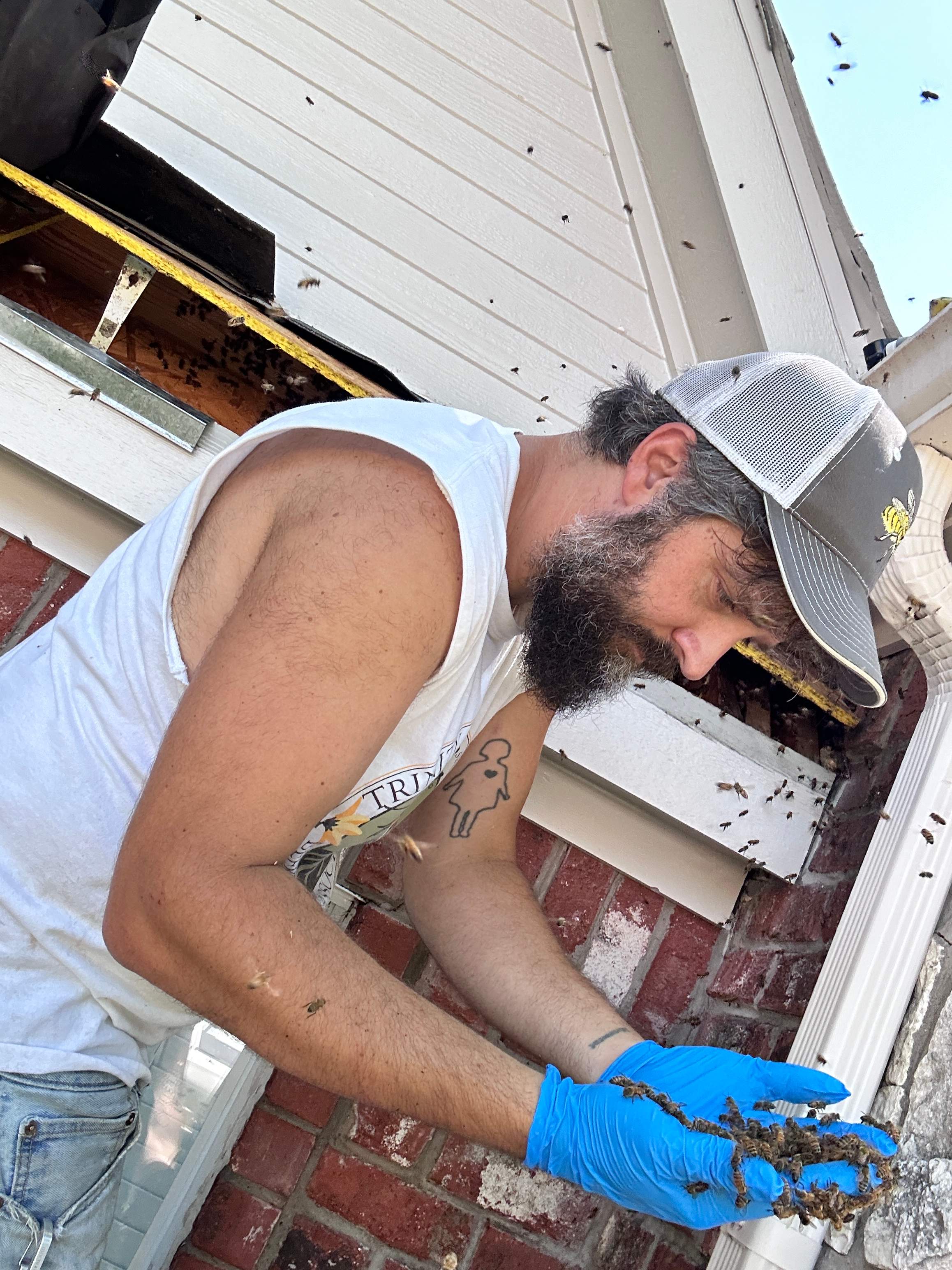 Dormer Window by Rockwall Honey Bee Company