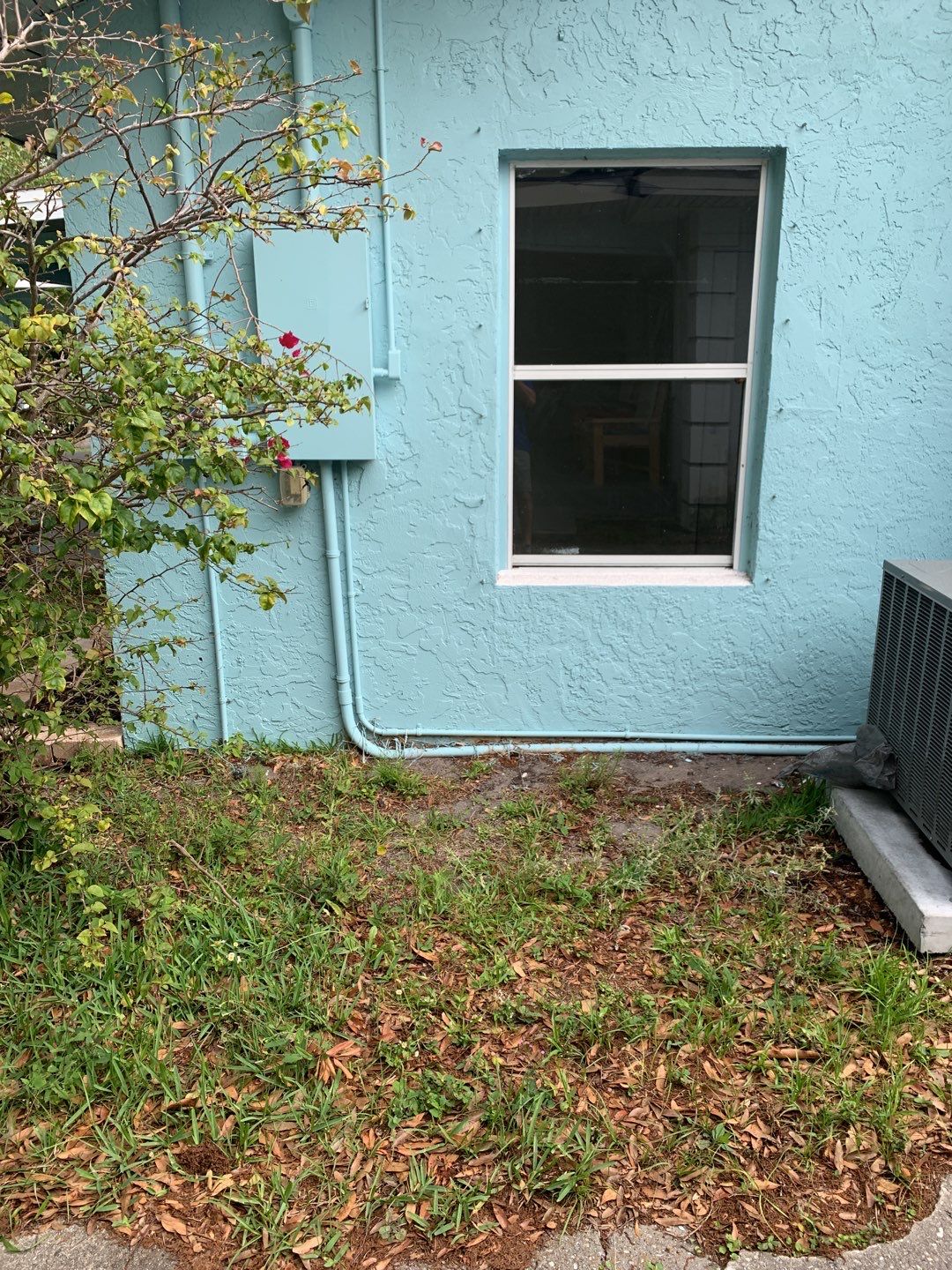 Sarasota, FL 6ft. Tall Treated Board on Board Privacy Fence  by Asap fence and gates, LLC