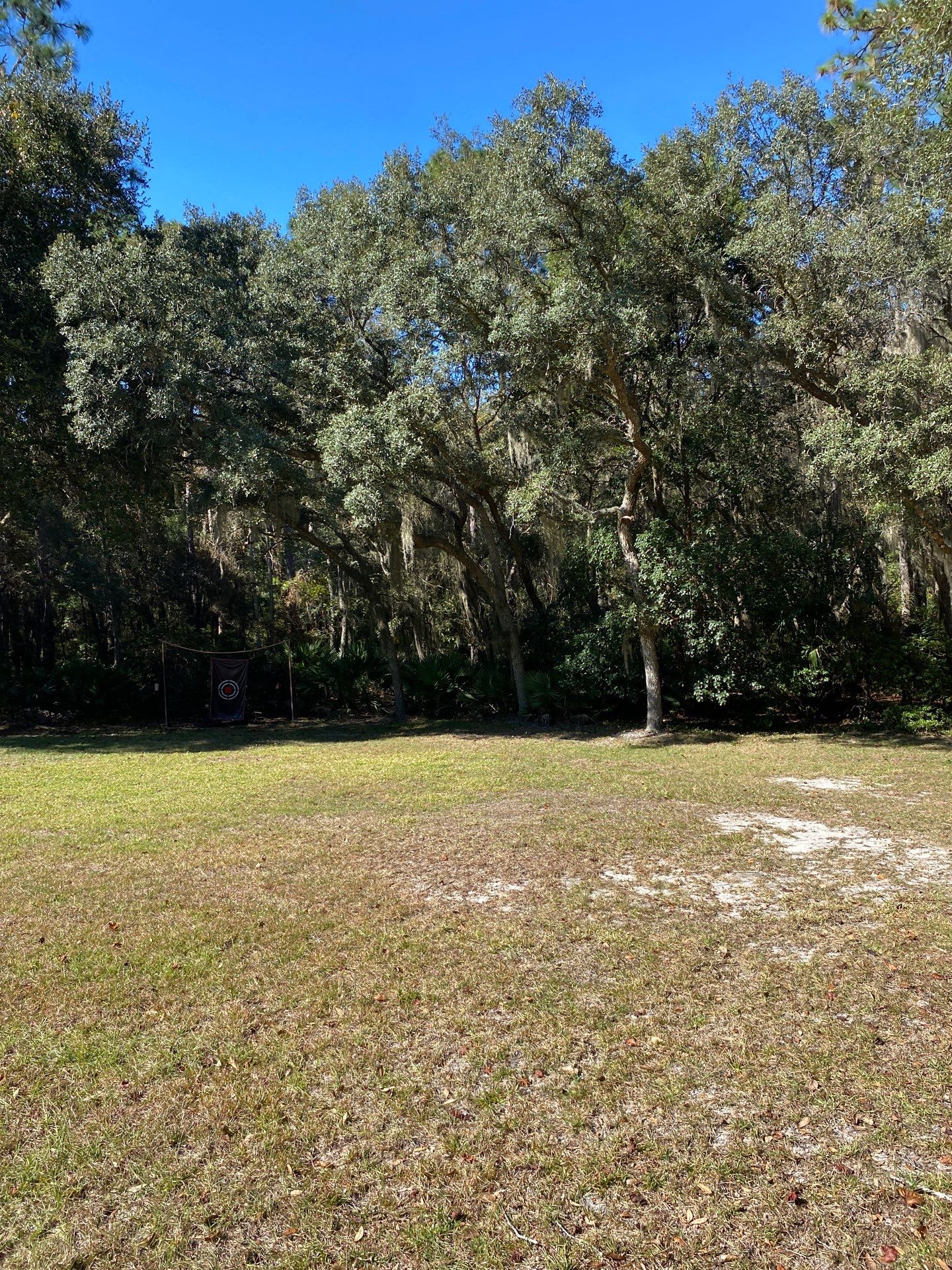 Deerwood Residence | Tree Work by ProGreen Services