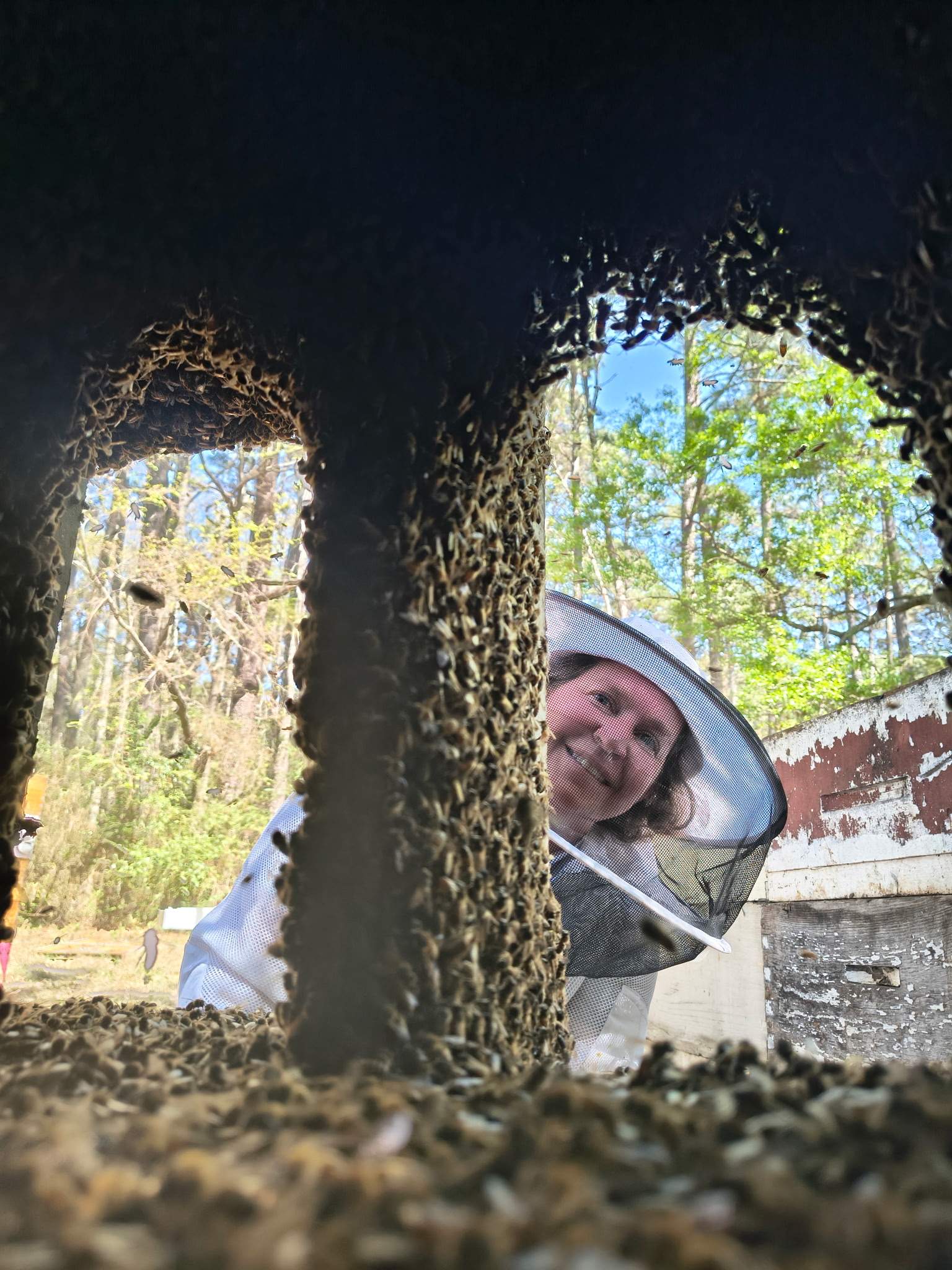 Tree Farm Apiary by Rockwall Honey Bee Company