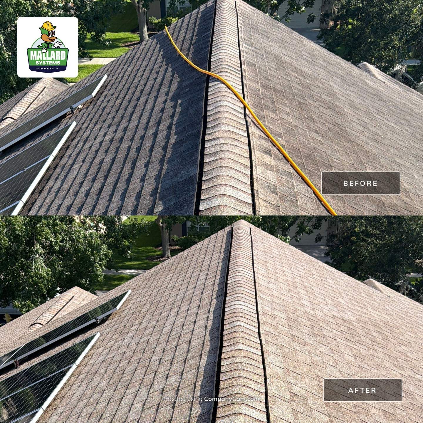 Asphalt Shingle Roof Cleaning for Winter Garden Residential Property by Mallard Systems