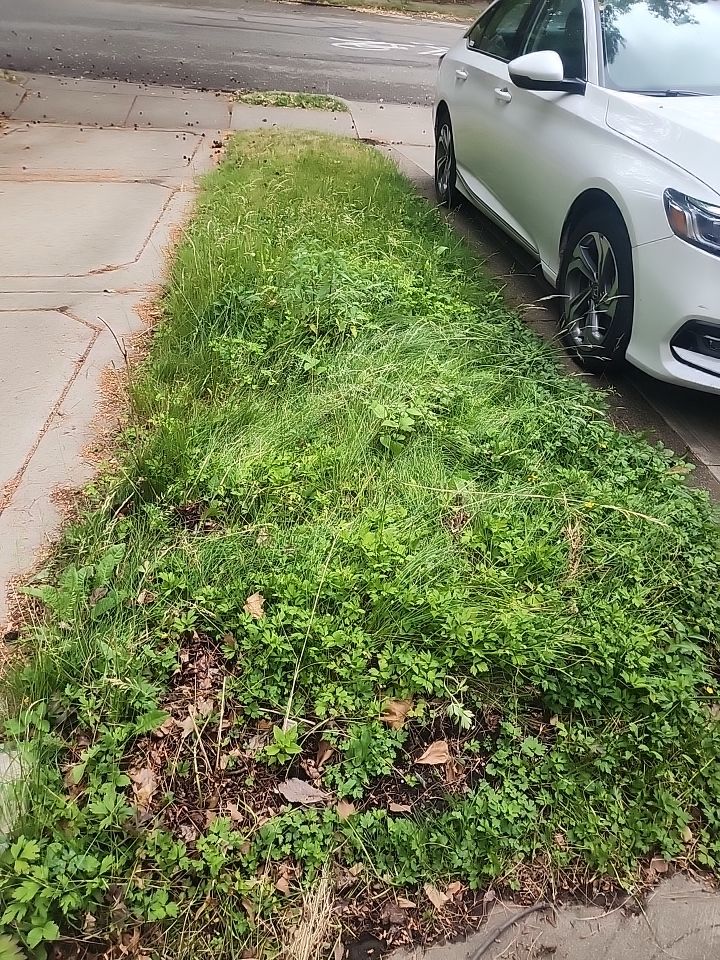 Replace failed gas line from gas connection at street to new meter by Sureway Comfort John Wilcox Plumbing Heating Cooling