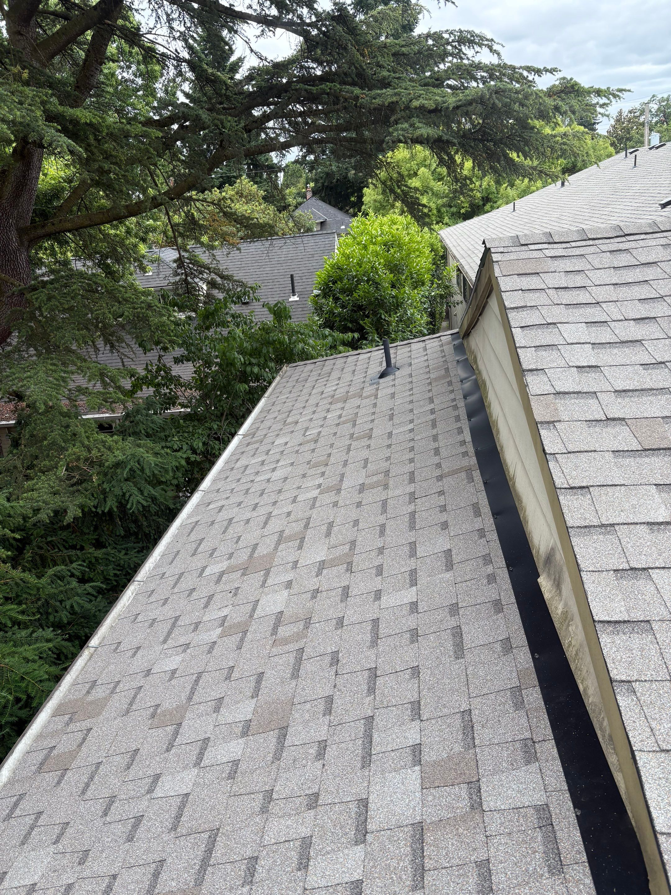 Commercial Roofing Installation using Asphalt Shingles by Vitan Construction LLC 