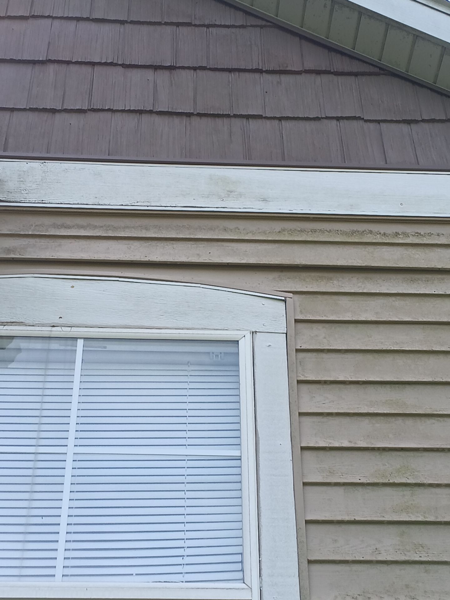Exterior trim caulking, prime and paint. by Gordon Painting