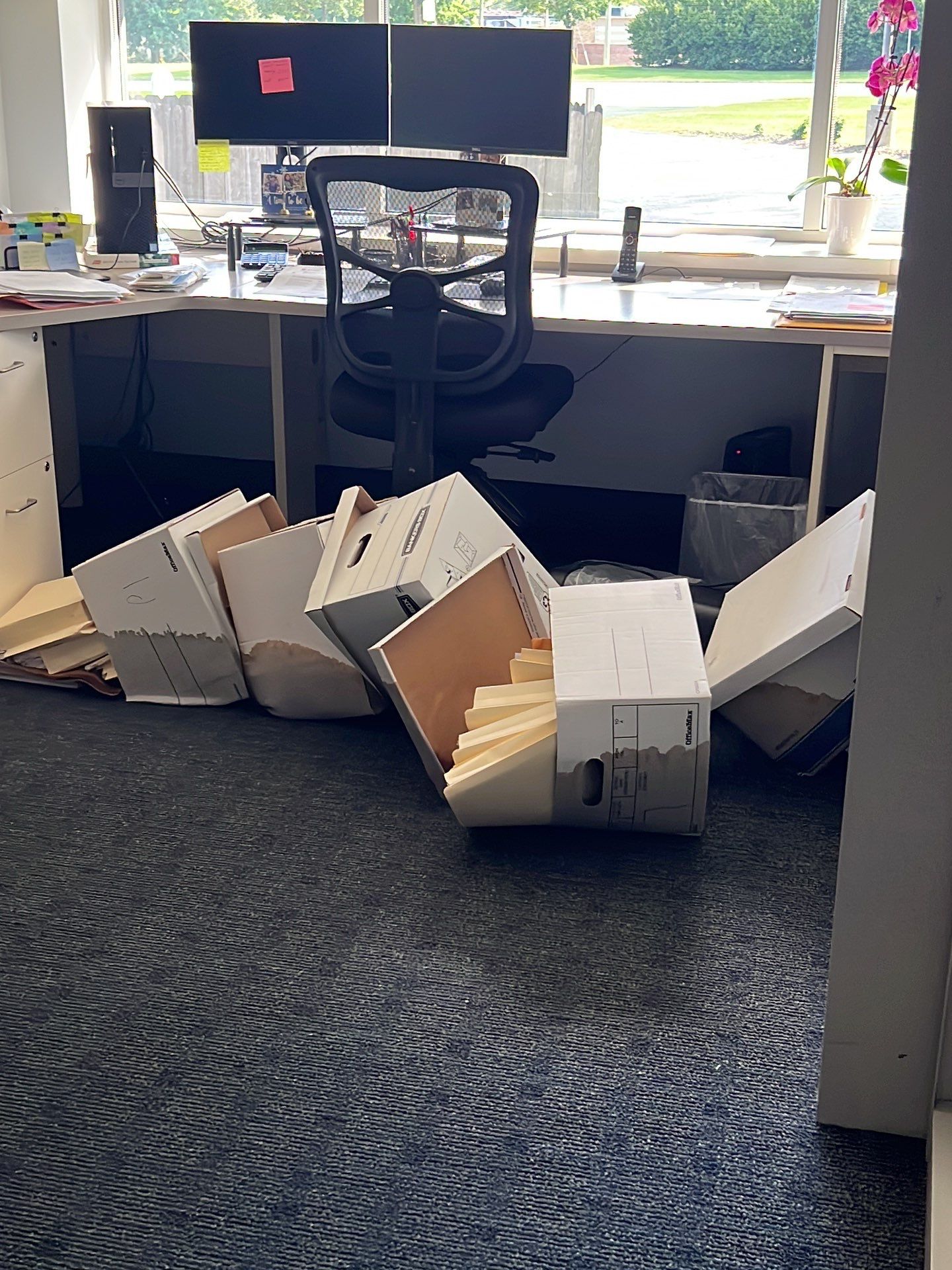 Project in Southfield by EzDry Water Mitigation & Property Restoration