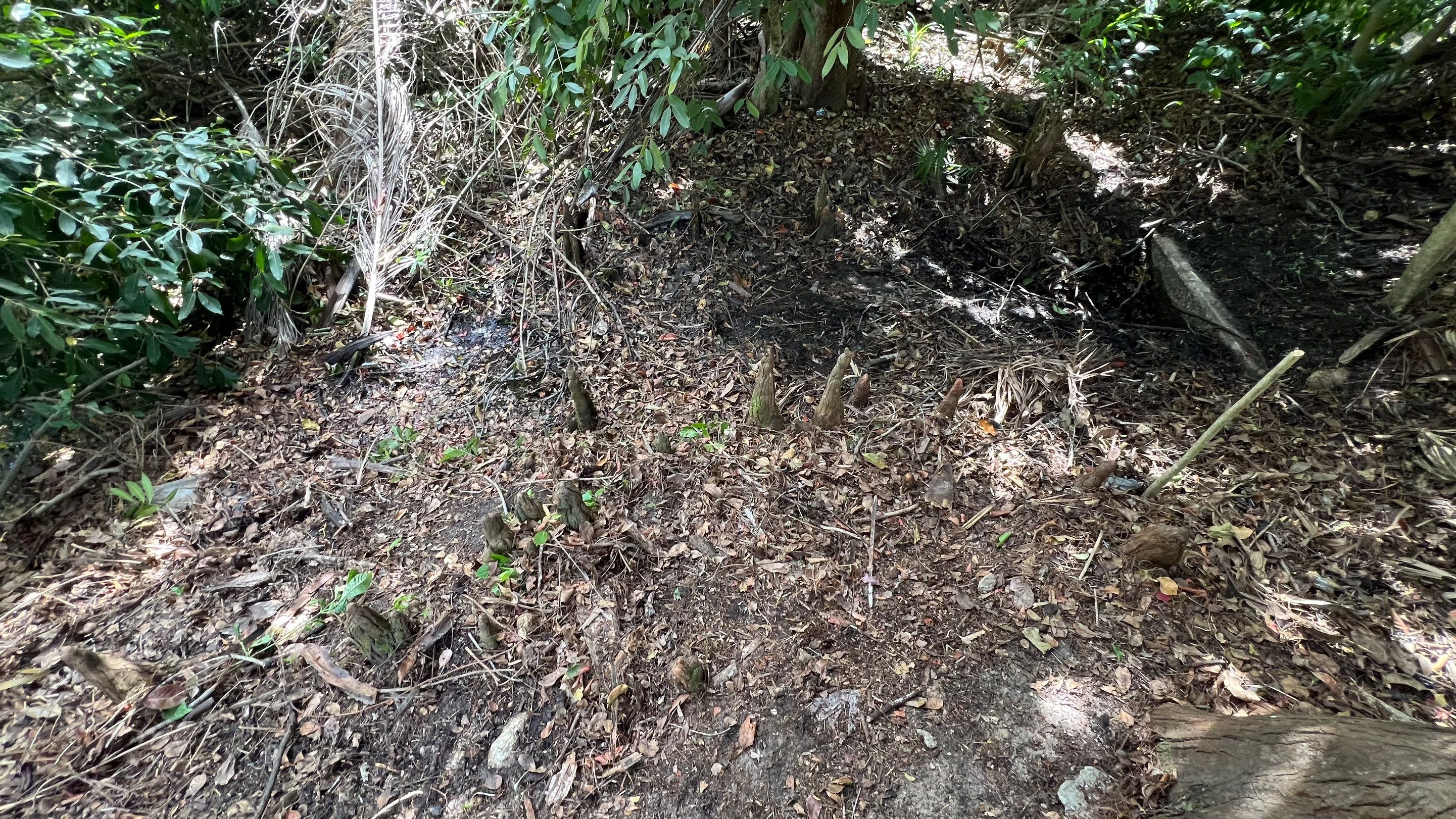 Naples Community Storm Water System Maintenance by APS Power & Water