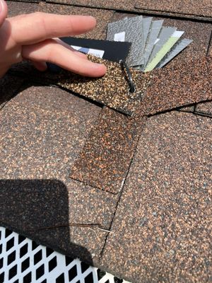 Turtle Shell gutter protection installation in Naperville, IL 60540, photograph 16