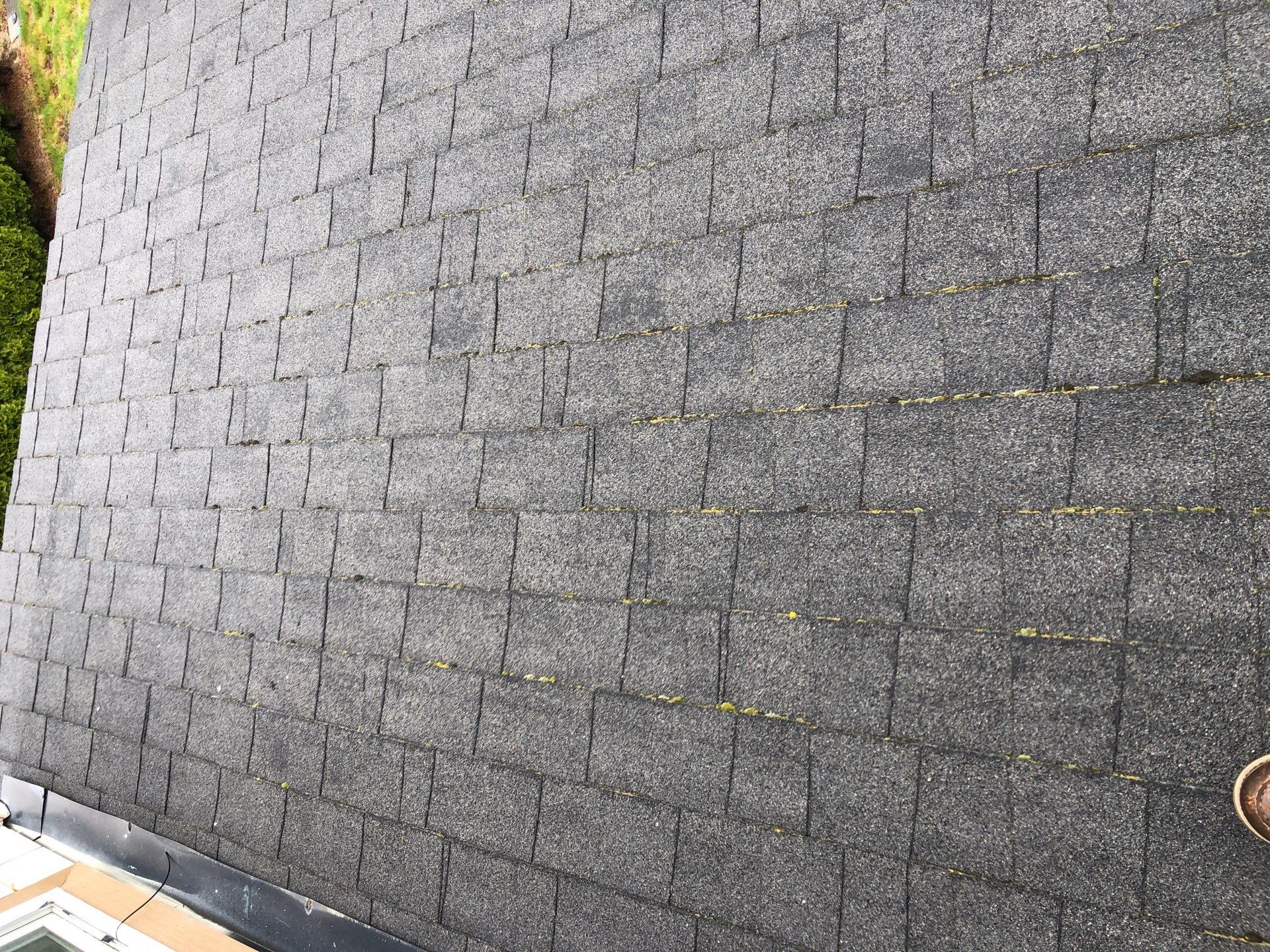 Project in Bellingham by Connolly Construction Company