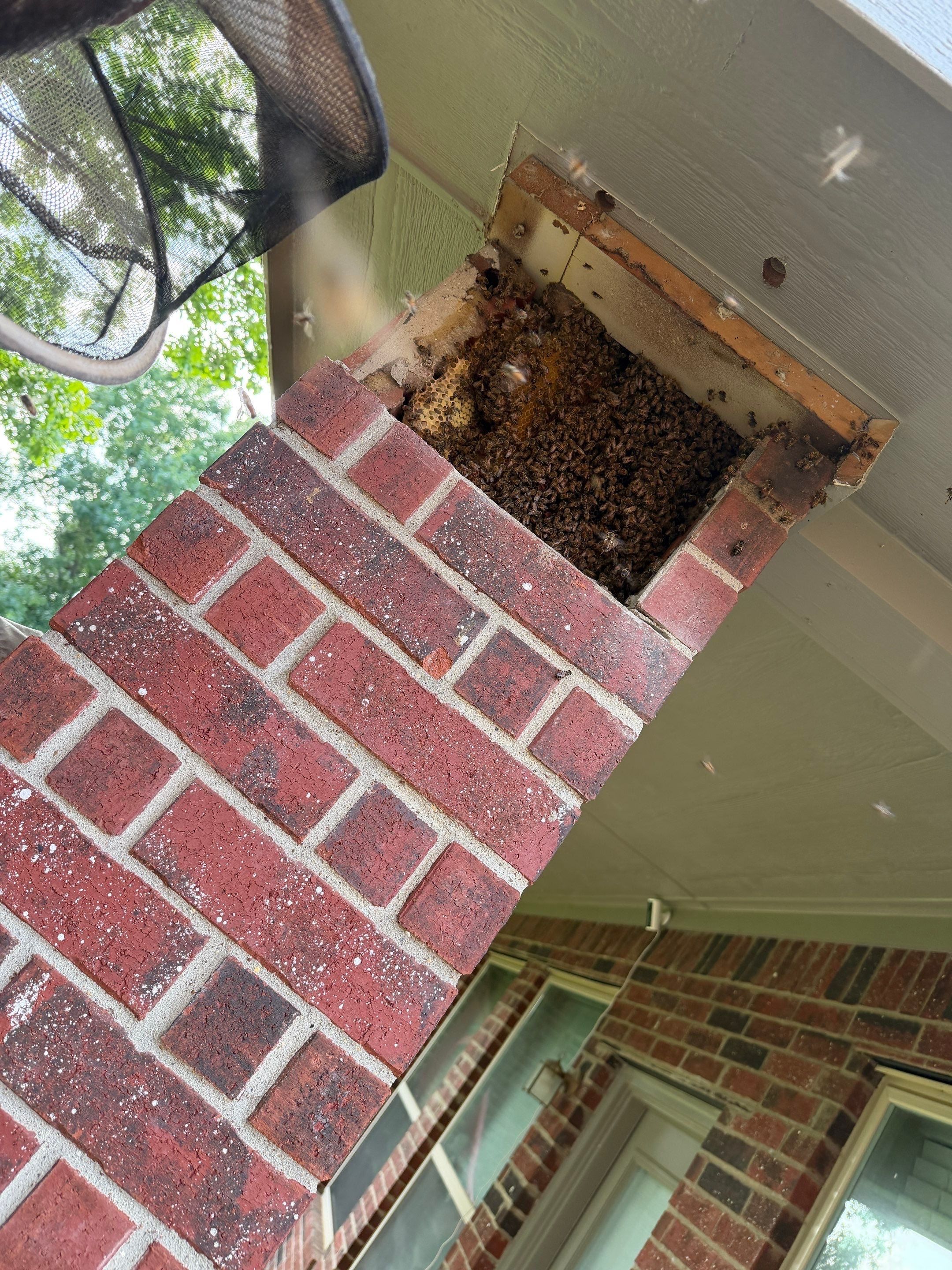 Brick Column by Rockwall Honey Bee Company