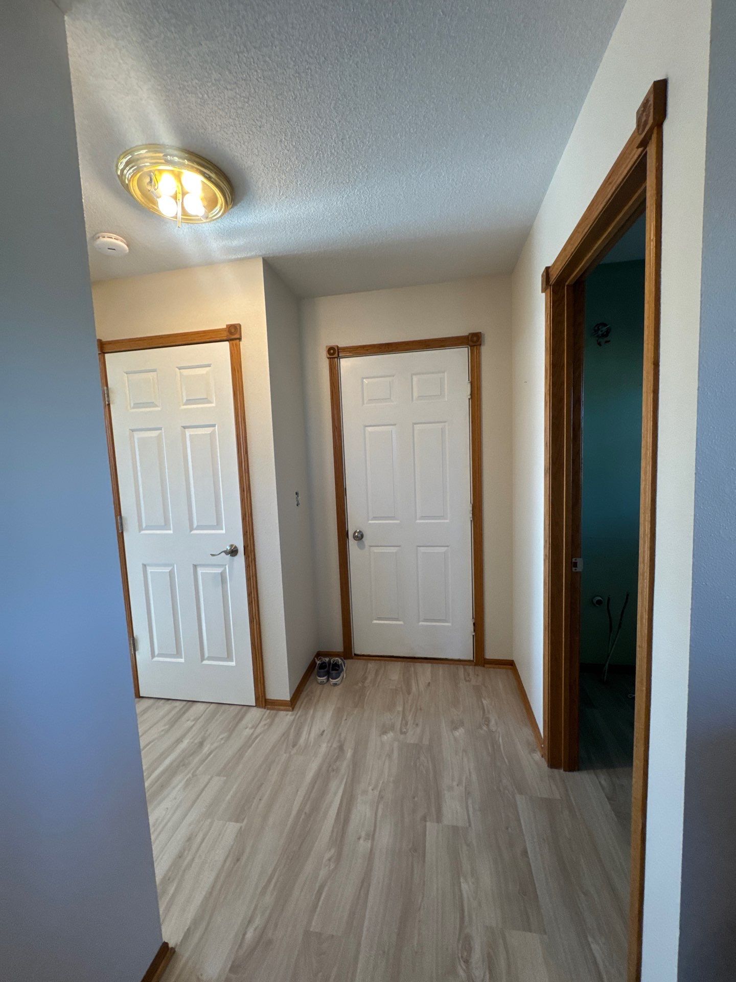 Ankeny Residential Interior | SW Duration in Natural Linen, Velvet Antler Accents & Clary Sage Bath with ProMar Flat White Ceilings by Midwest Paint LLC