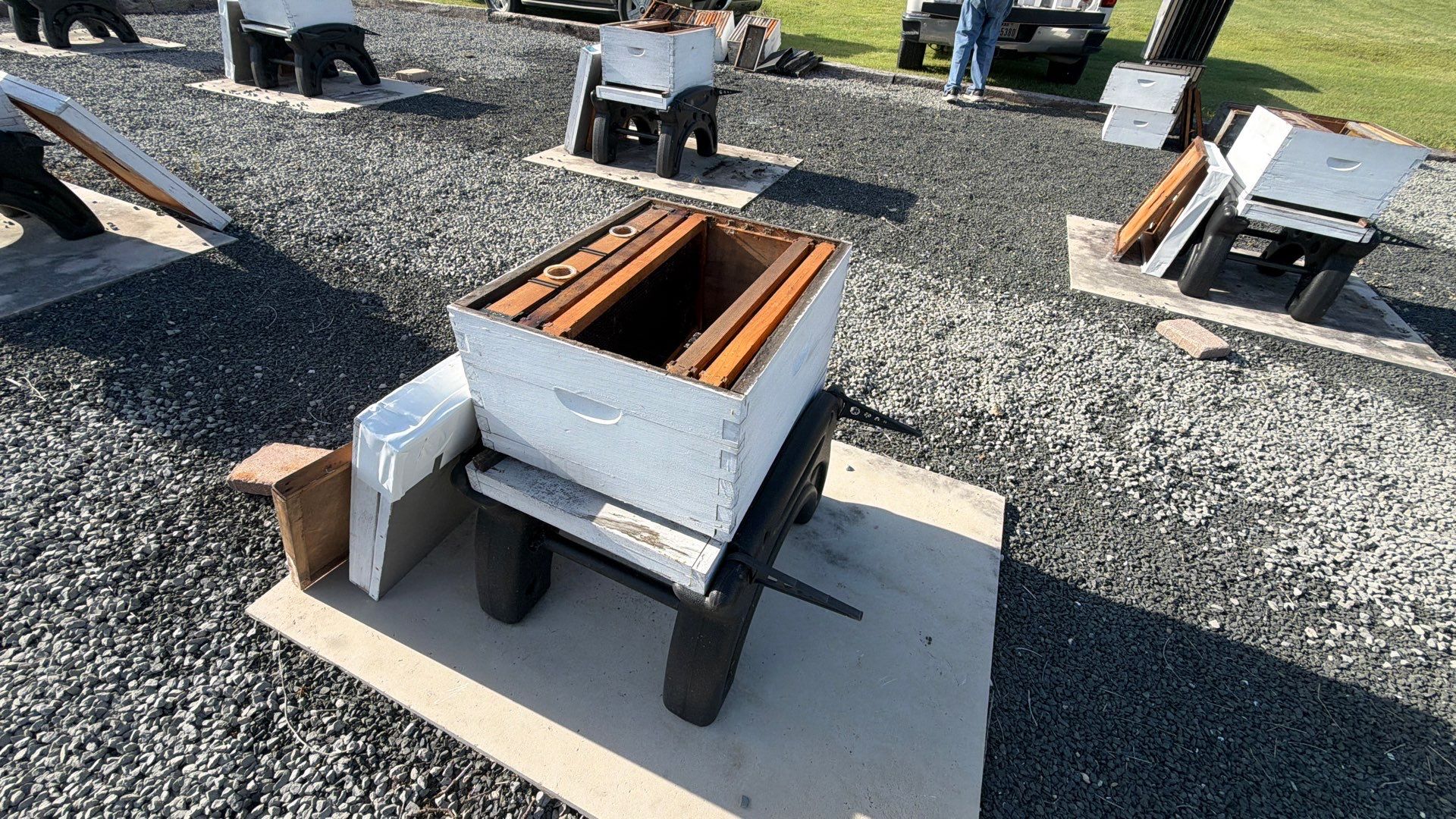 Momma K’s apiary by Rockwall Honey Bee Company