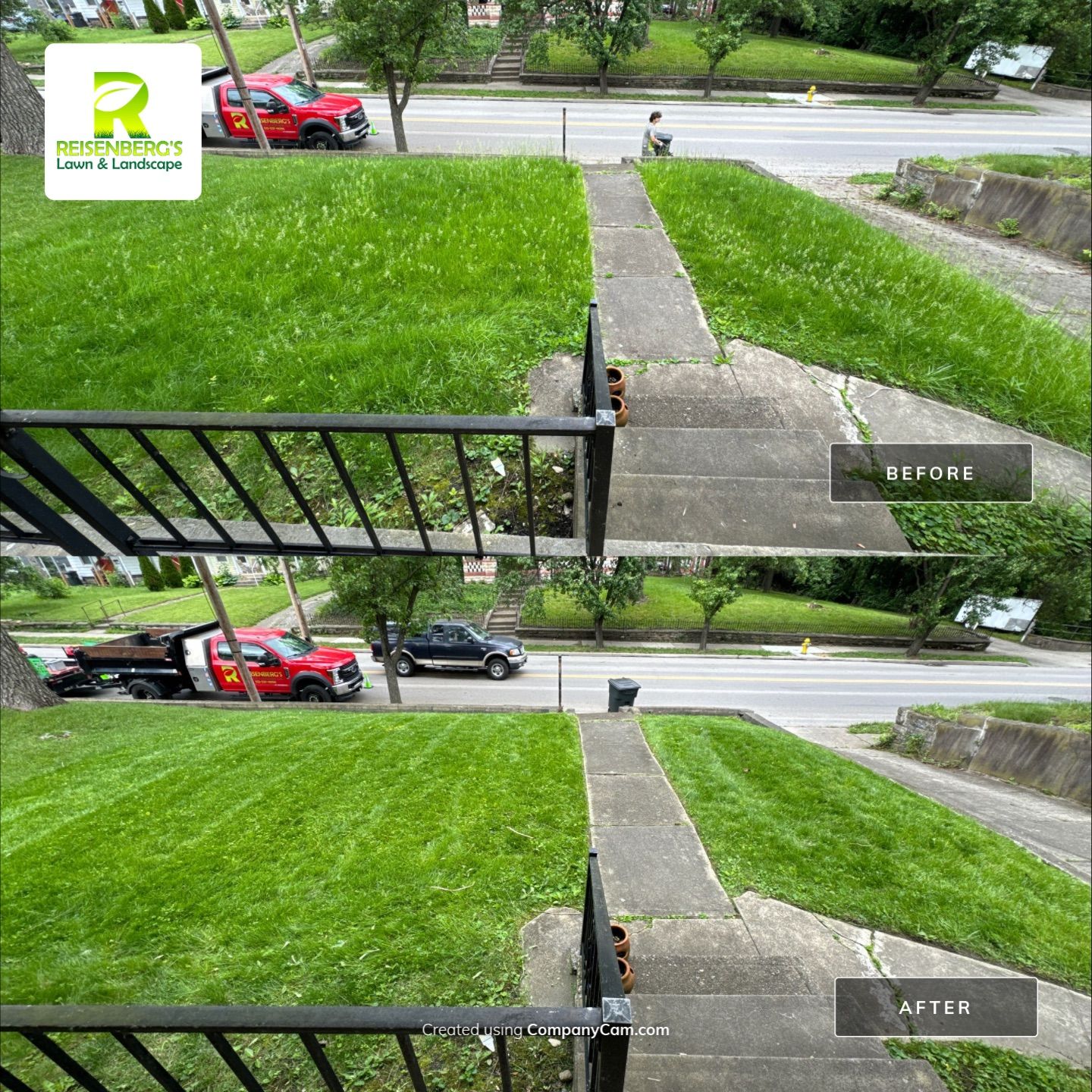 Reclaiming An Overgrown Yard by Reisenberg’s Lawn & Landscape, LLC